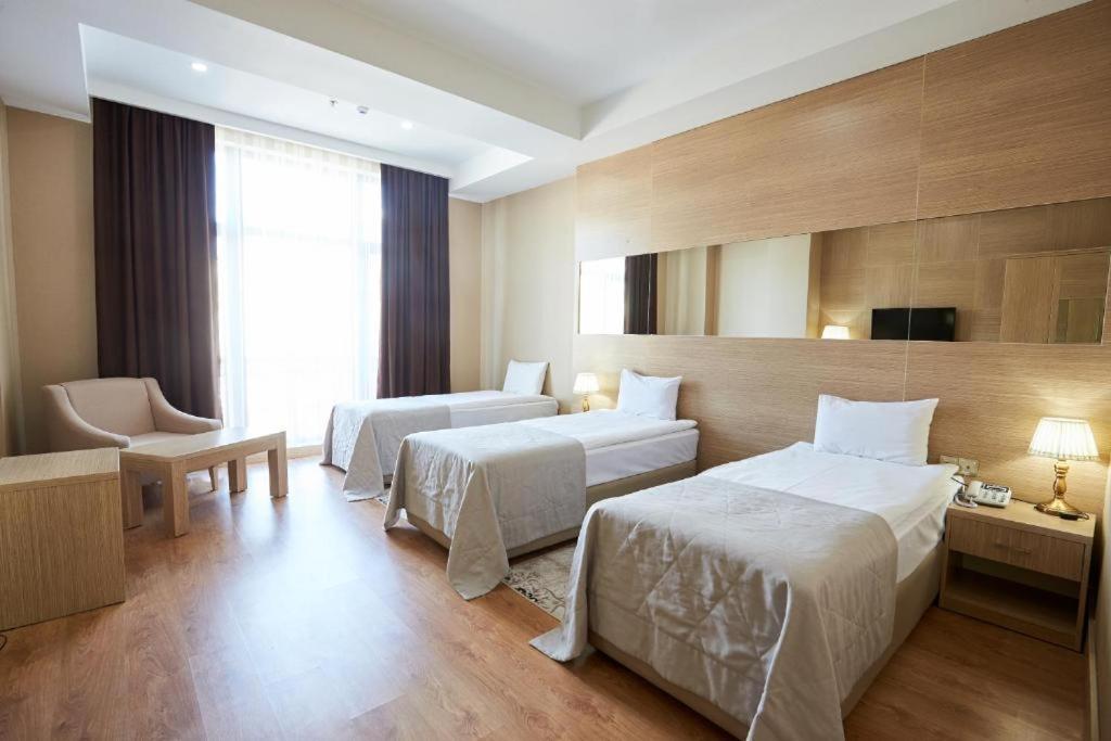מלון נובל באקו — Deluxe Double Room