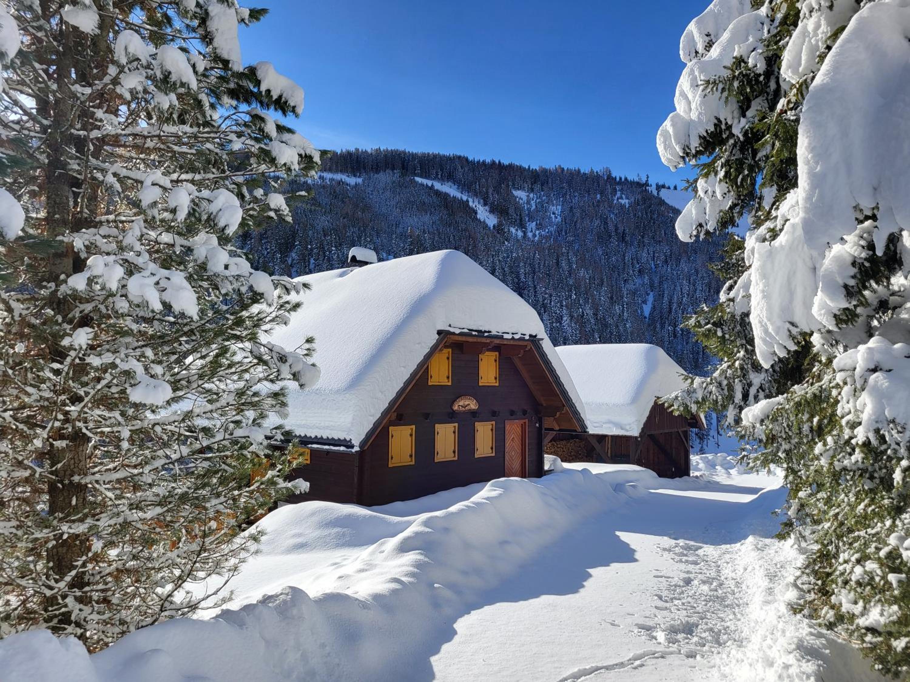 Three-Bedroom Chalet photo 2