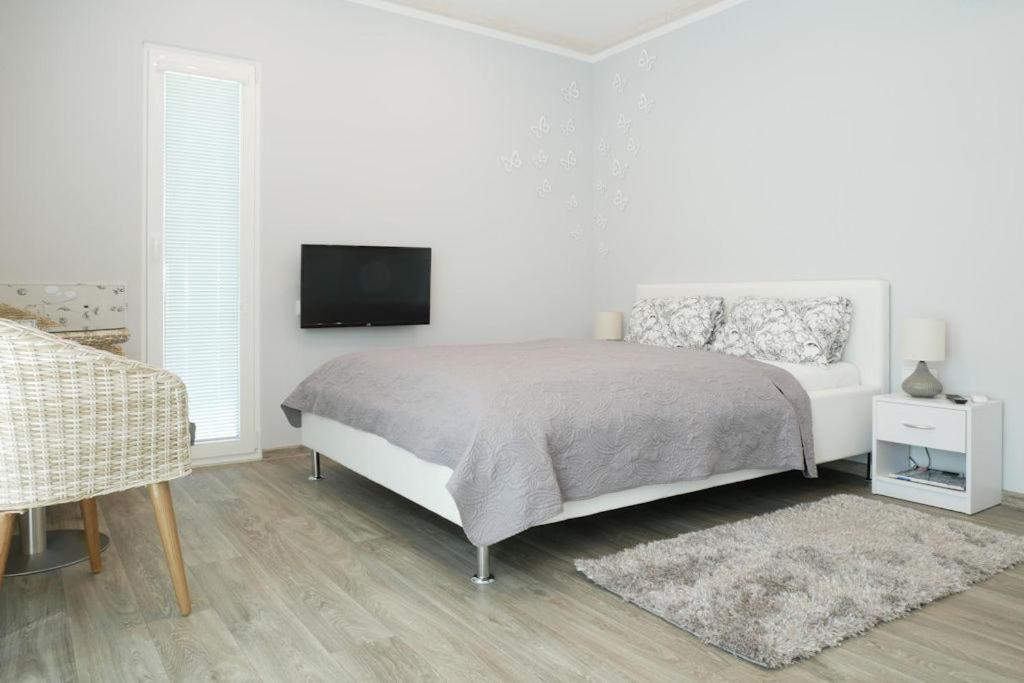 Apartment with Terrace photo 1