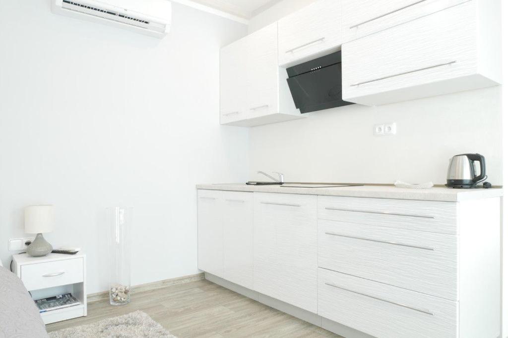 Apartment with Terrace photo 2