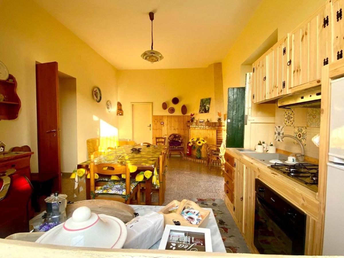 King Room with Garden View - Photo 12