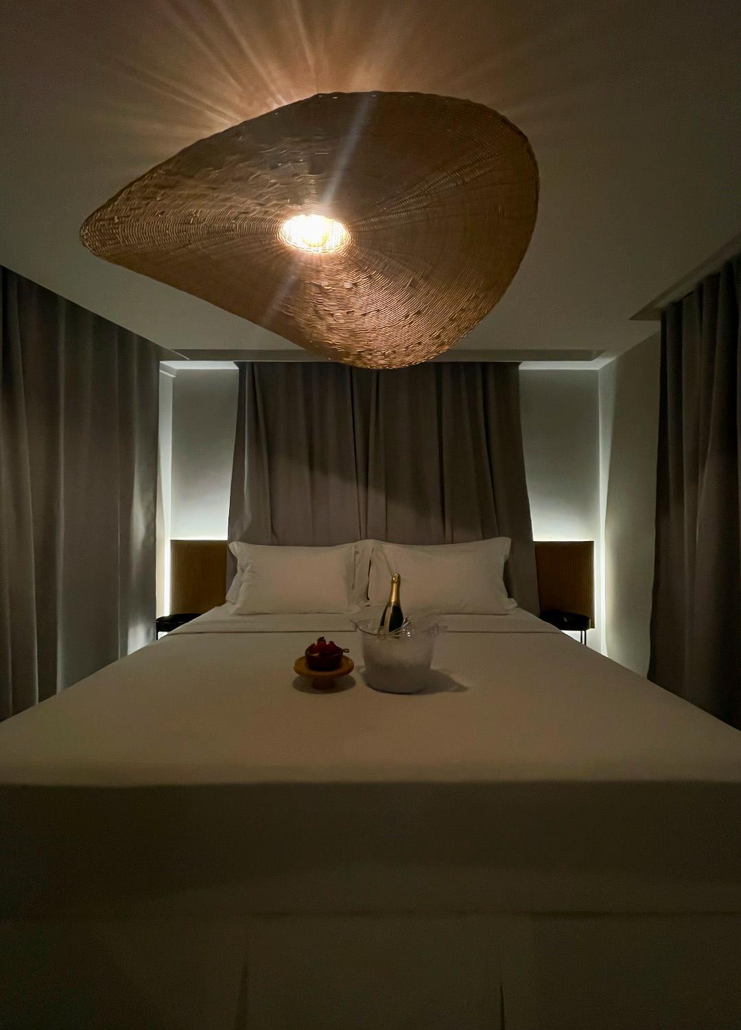 Suite - Photo 1