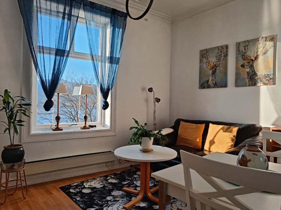 One-Bedroom Apartment photo 3