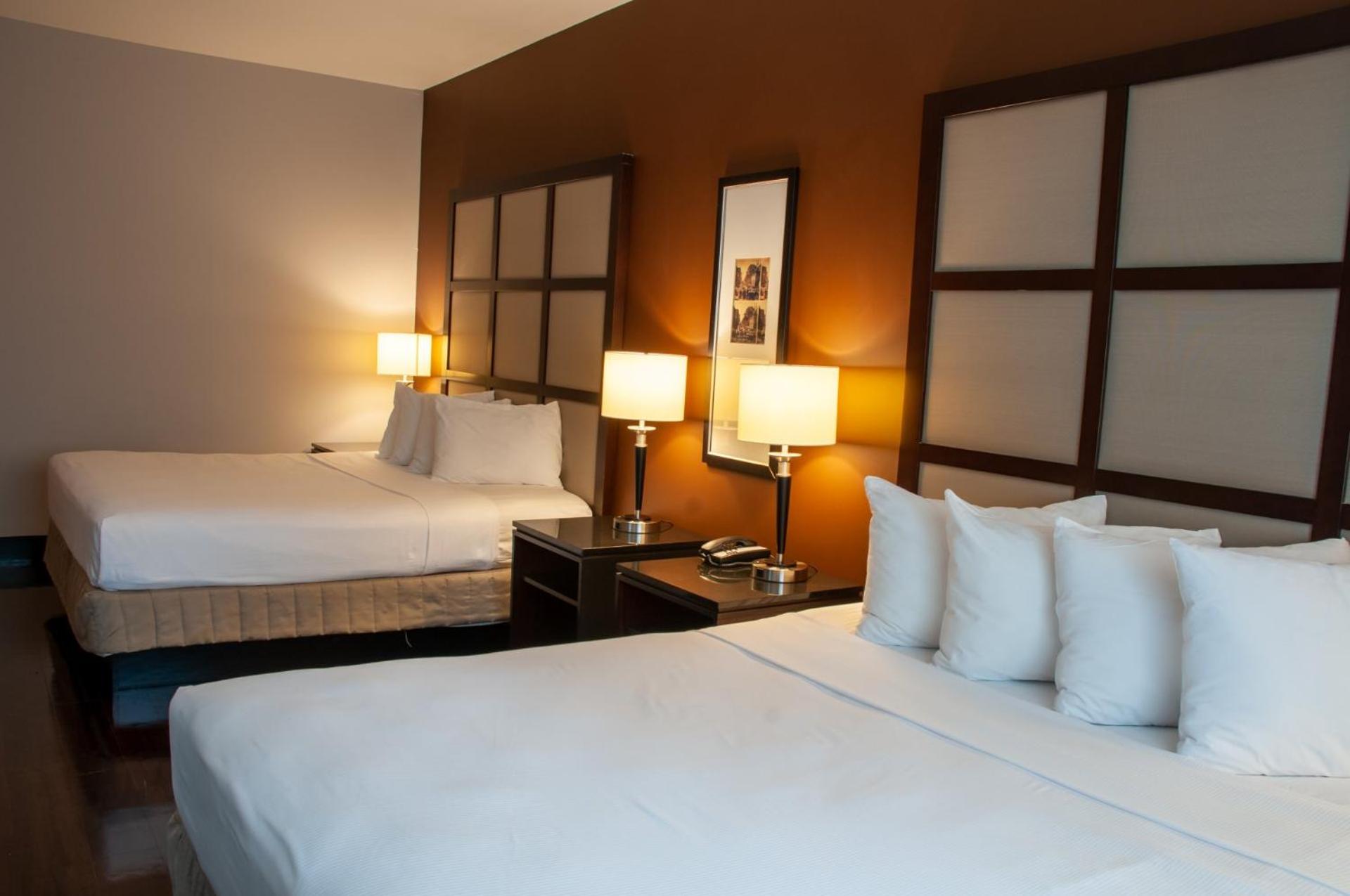 Two King Bed Studio