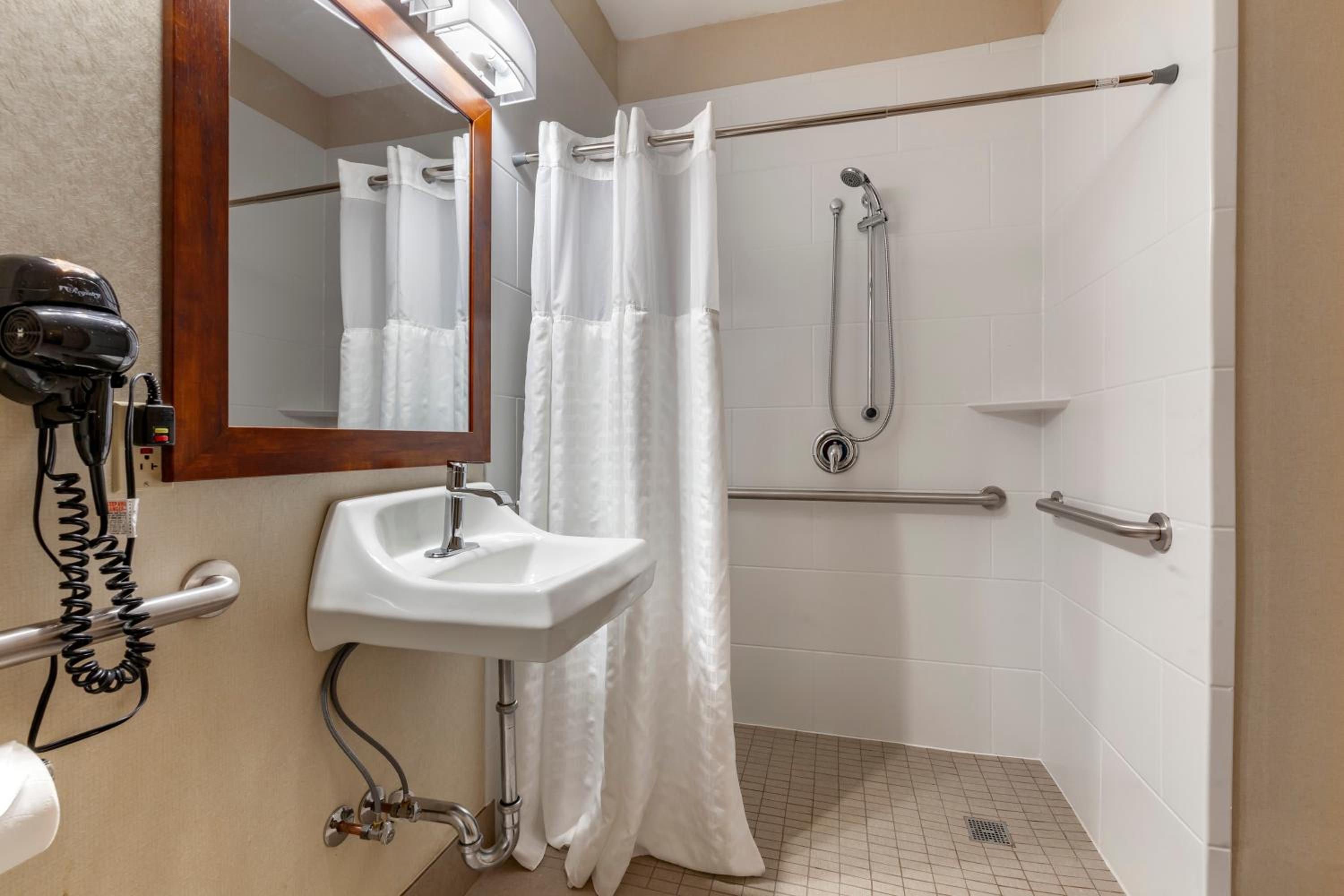 Queen Suite - Accessible/Non-Smoking - Photo 8
