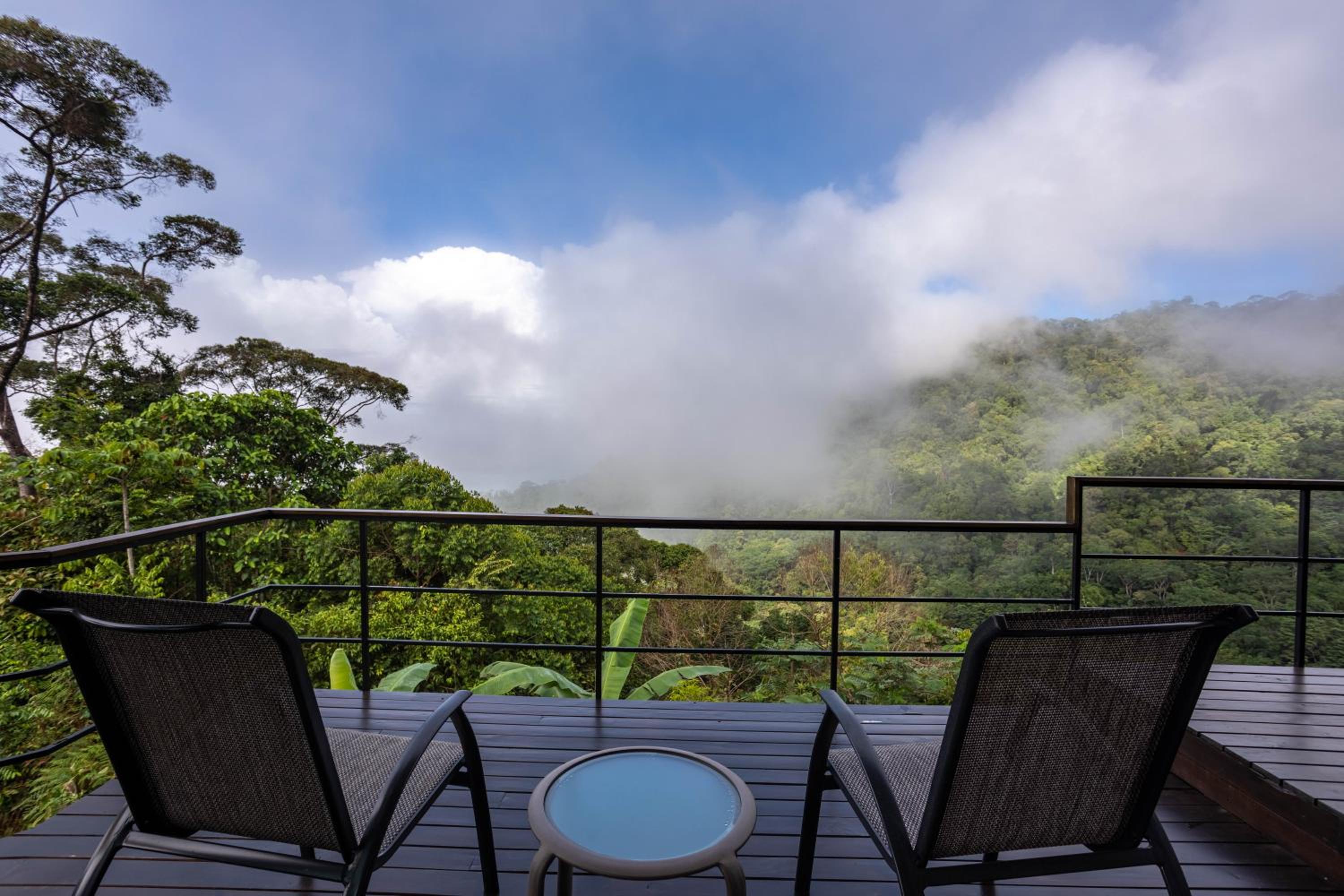 King Suite with Ocean View photo 1