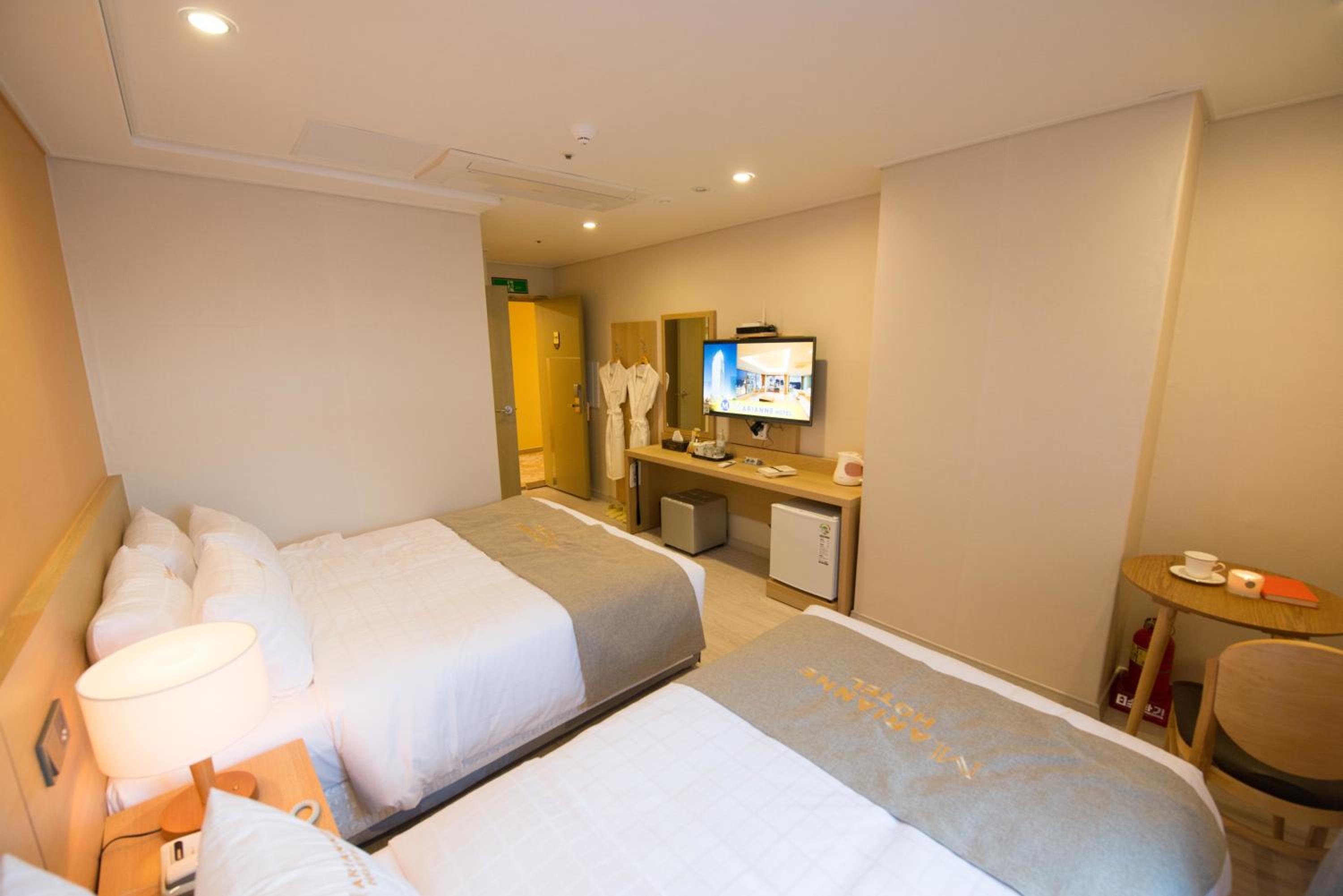 Superior Twin Room with City View photo 3