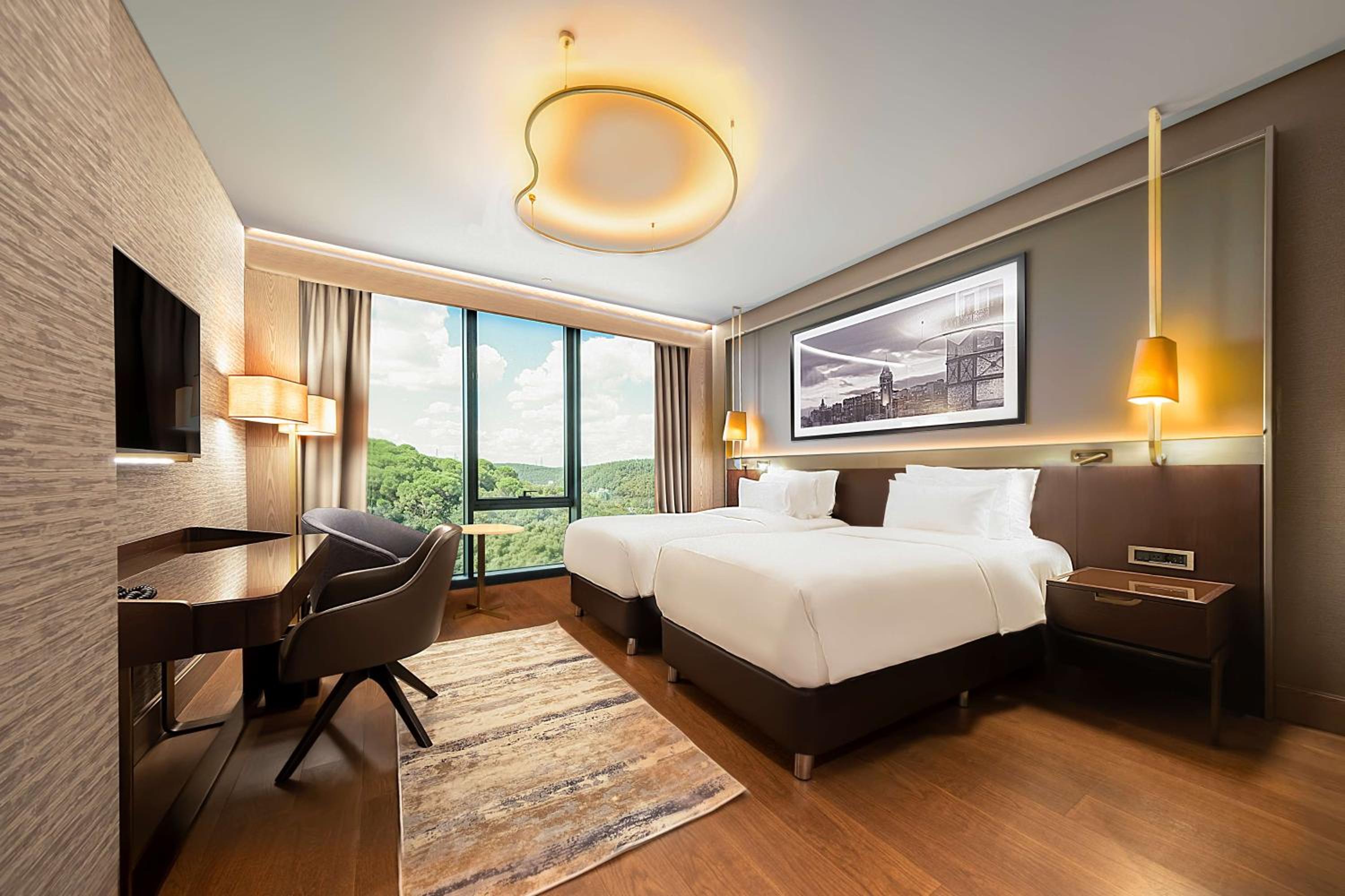 Collection Room with Forest View