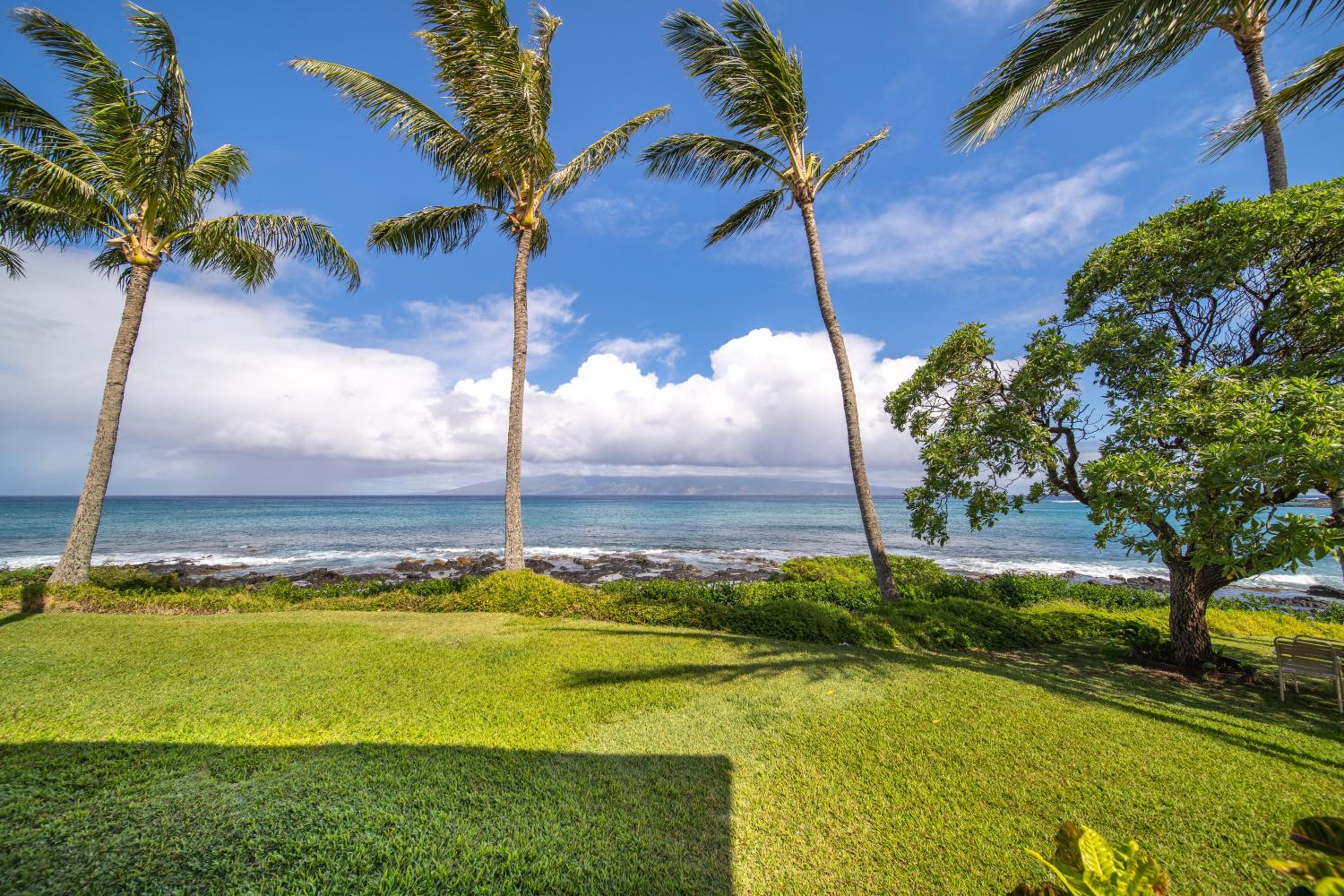 Studio Ocean Front - Photo 14