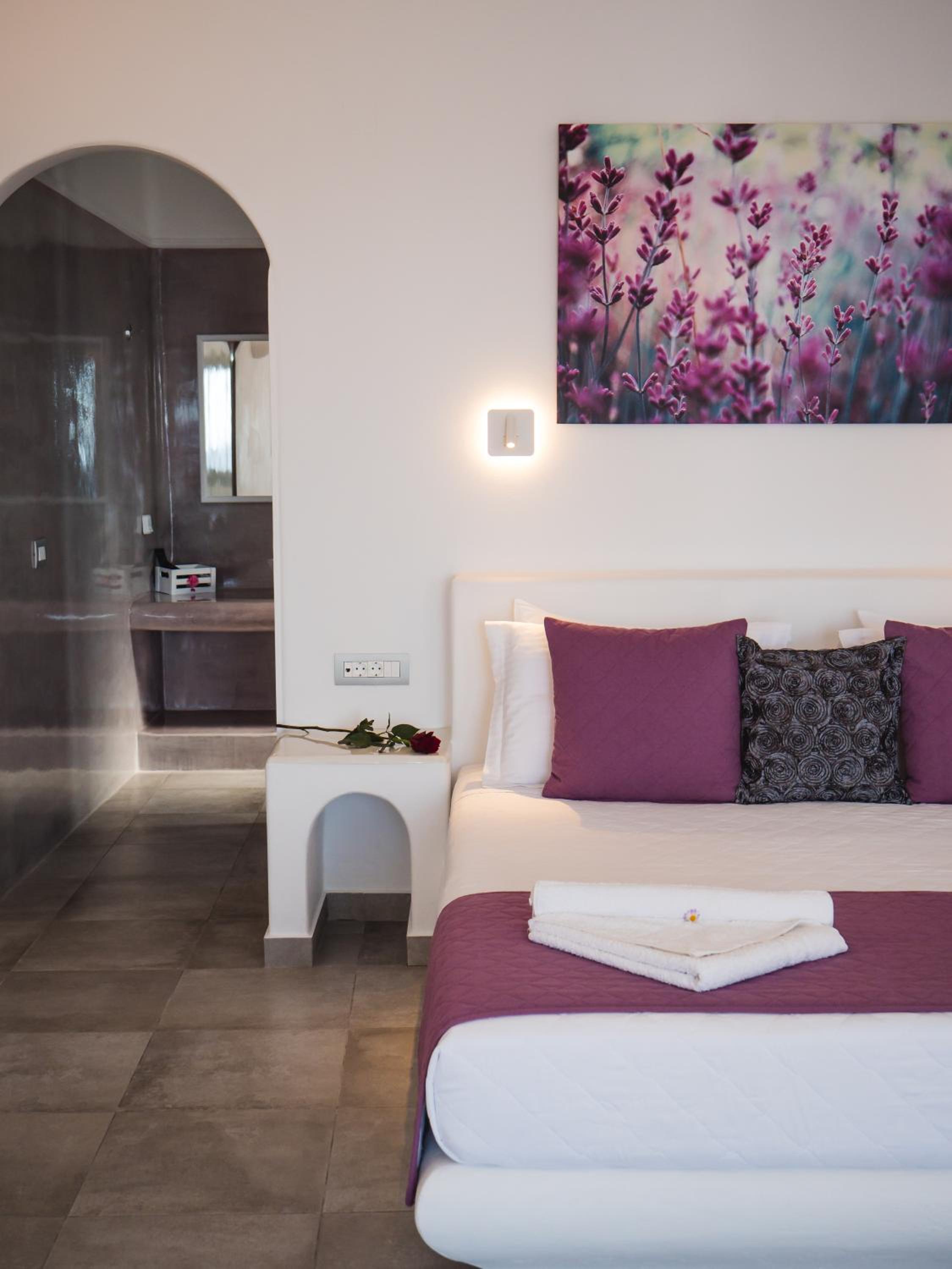Deluxe Suite with outdoor heated Jacuzzi - Photo 12