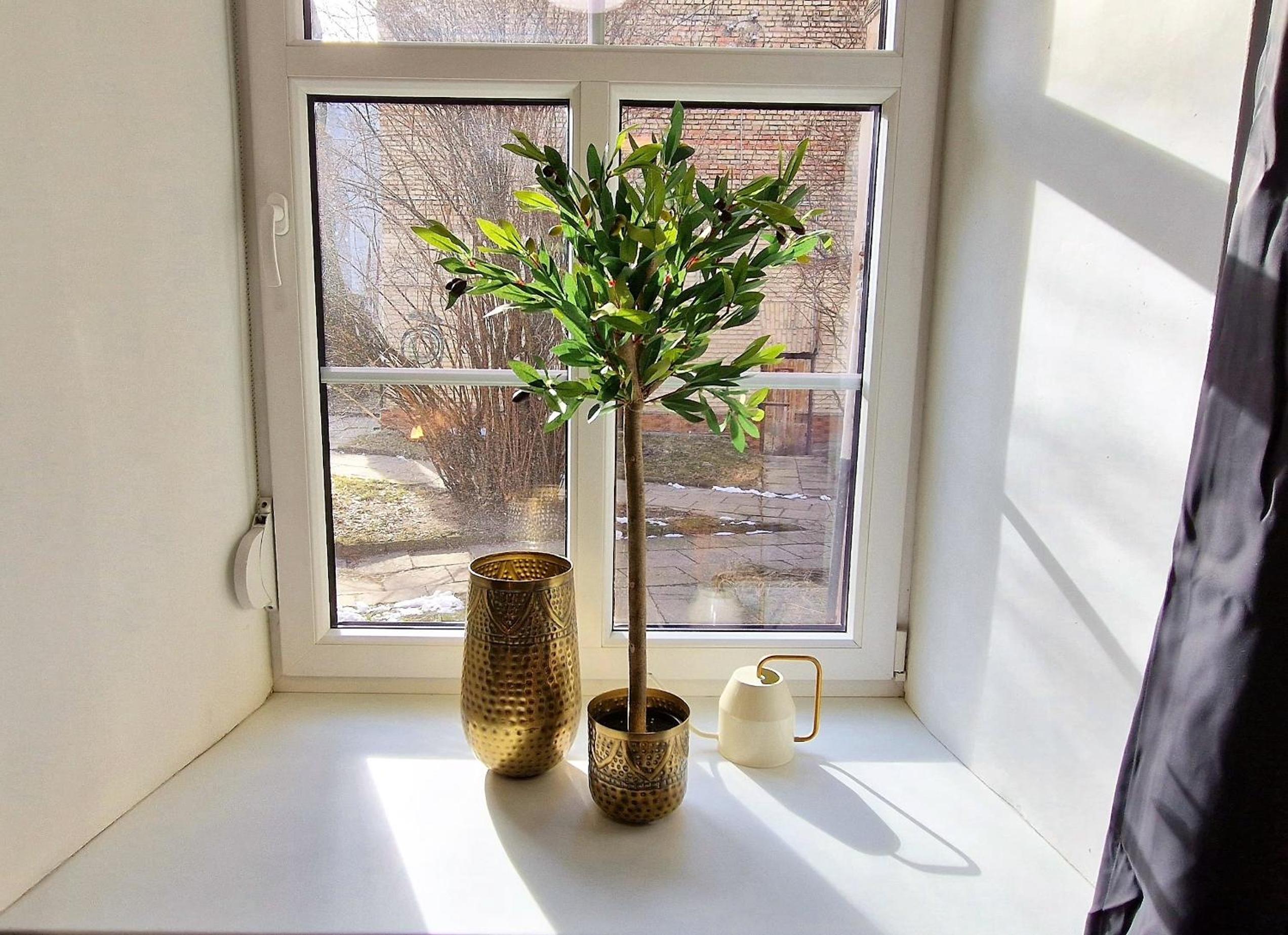 Apartment - Photo 11