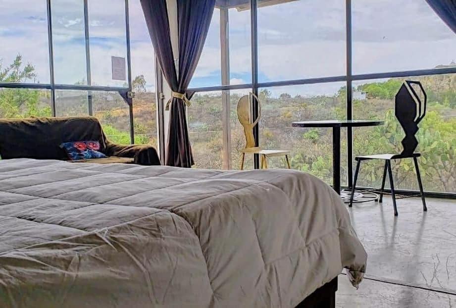 Suite with Terrace photo 3