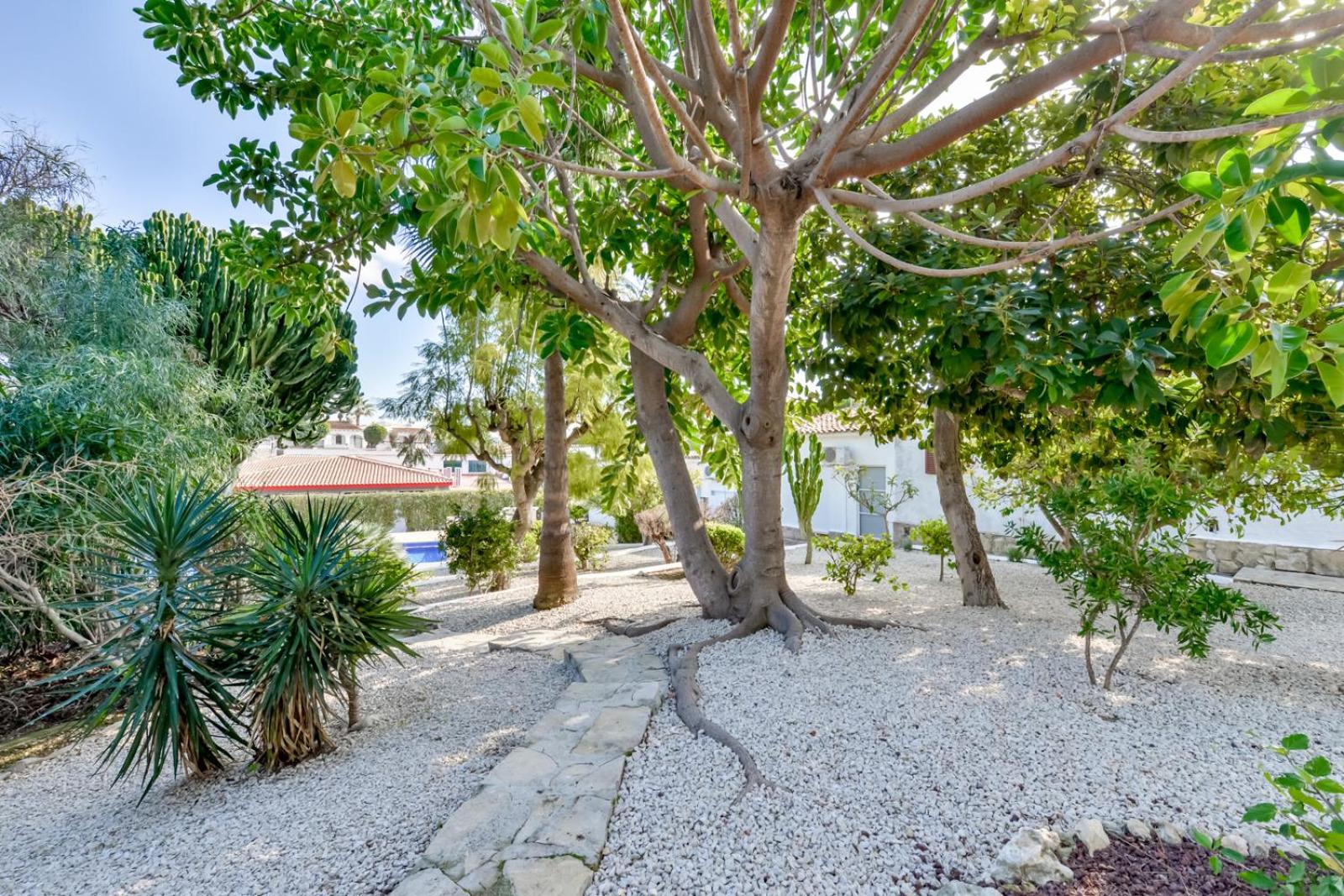Bungalow photo 3