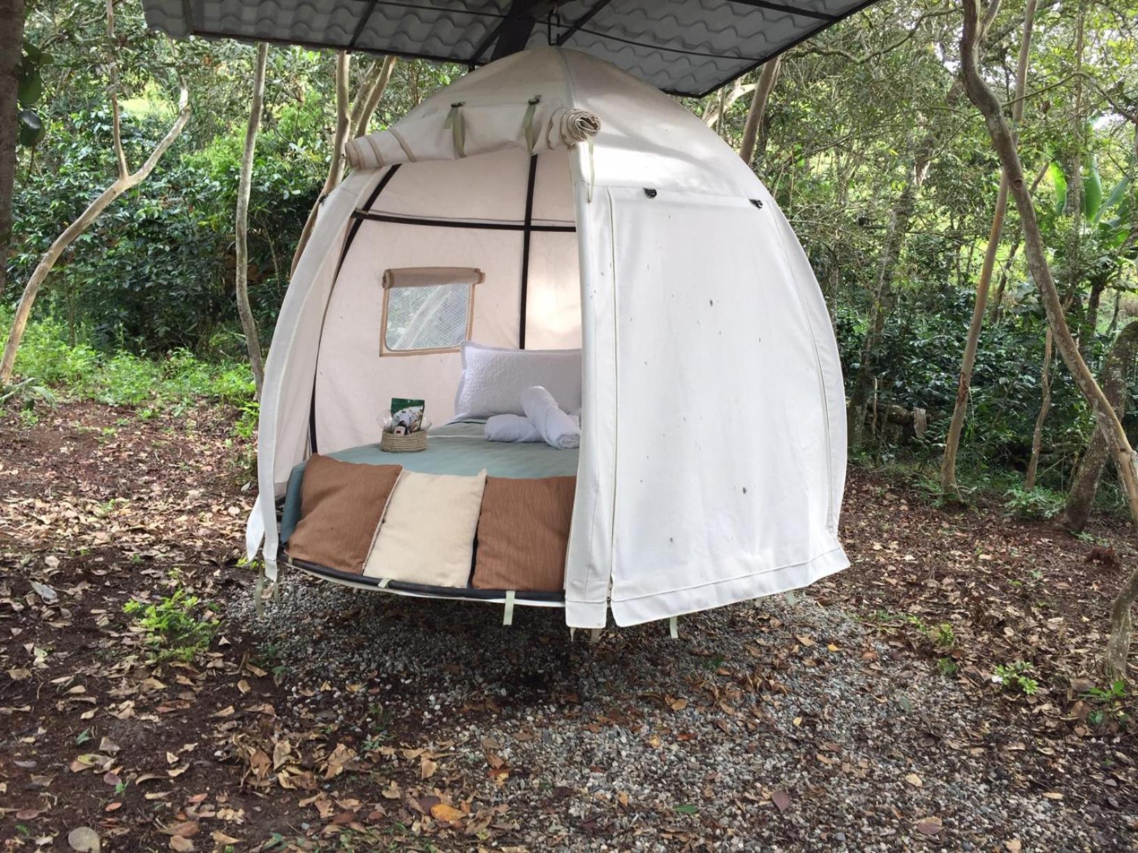 Tent