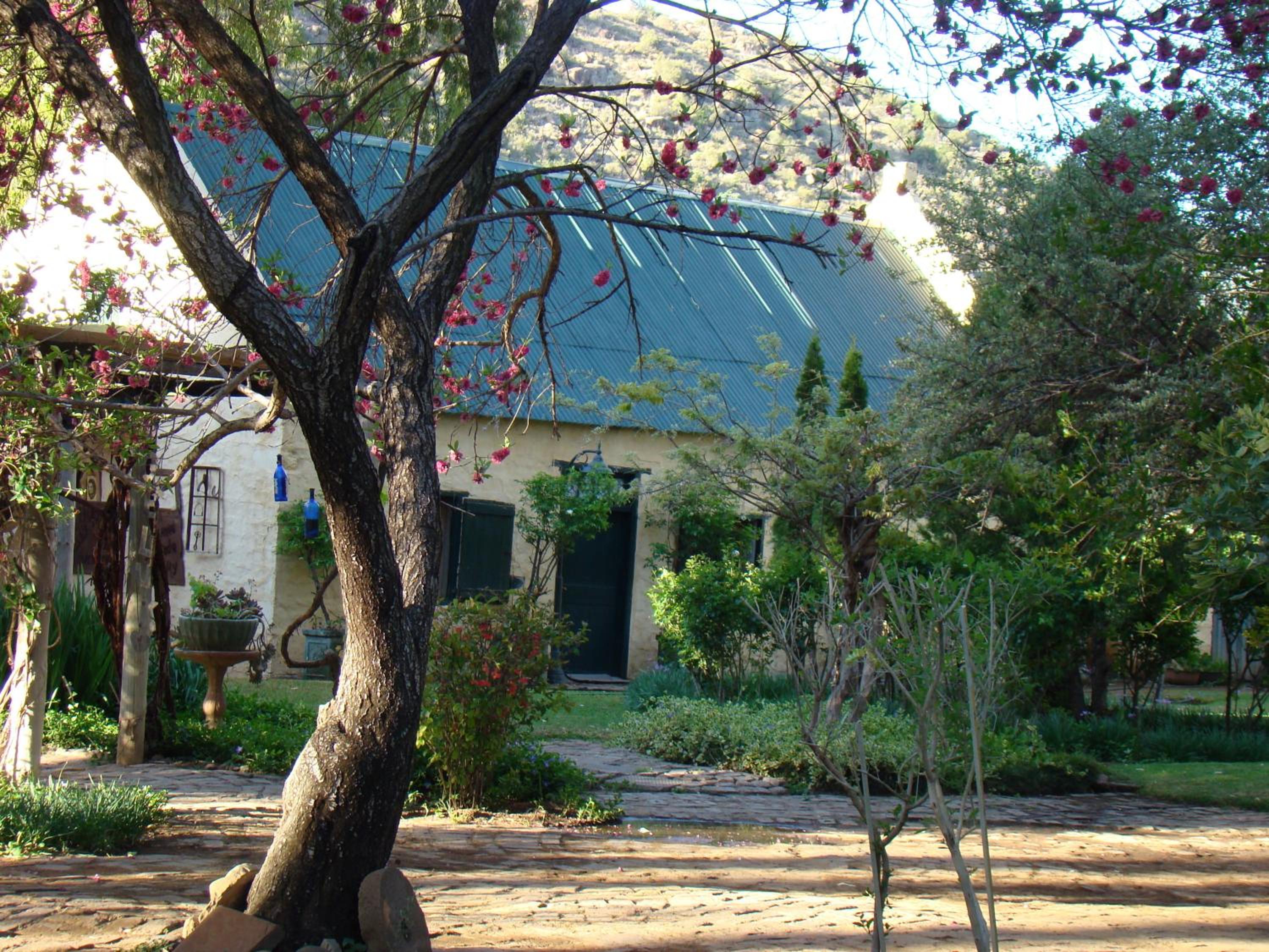 One-Bedroom House - Photo 10