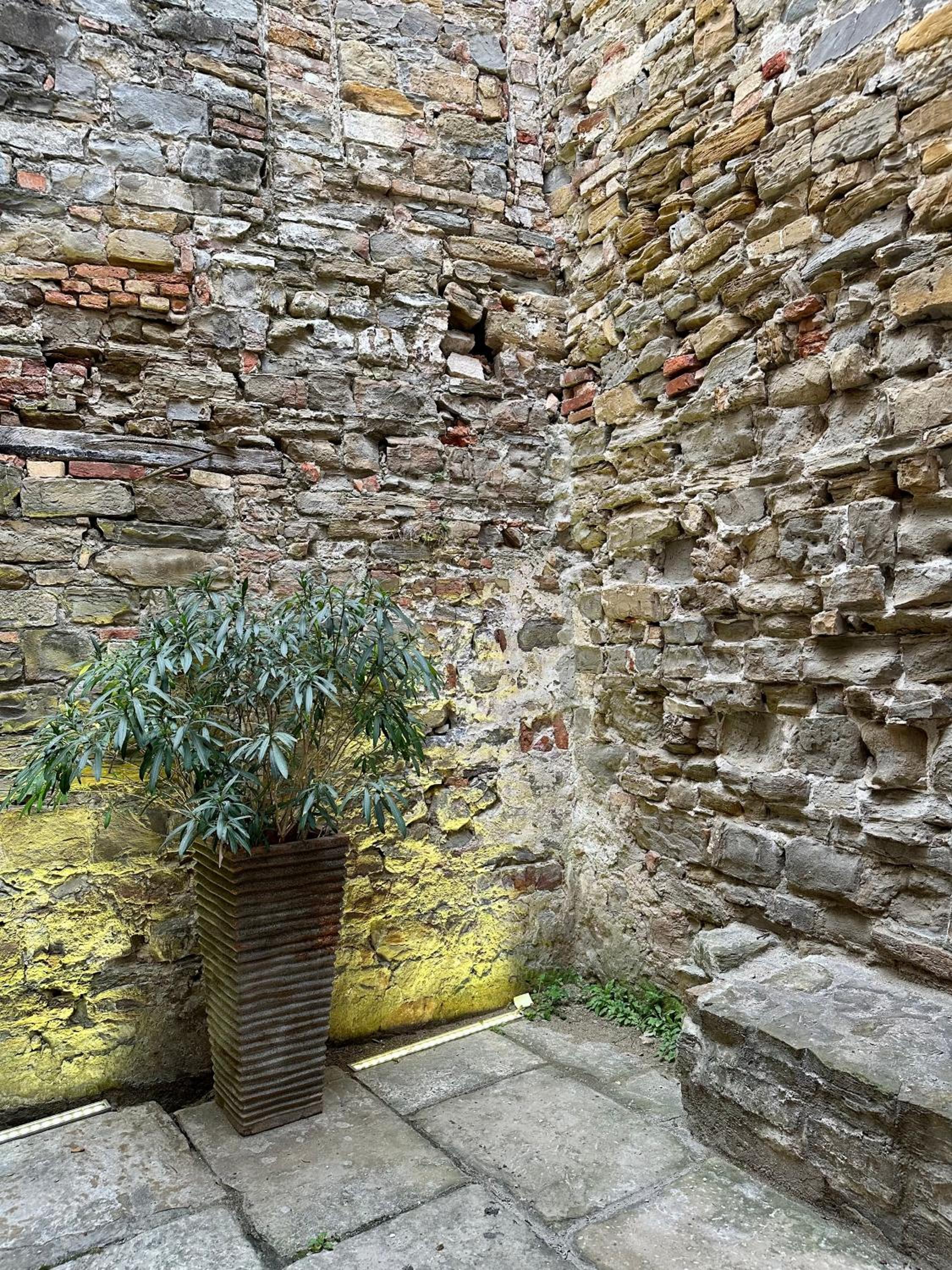 Double Room with Patio - Photo 4