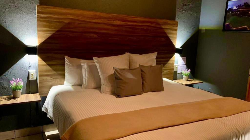 Suite with Terrace