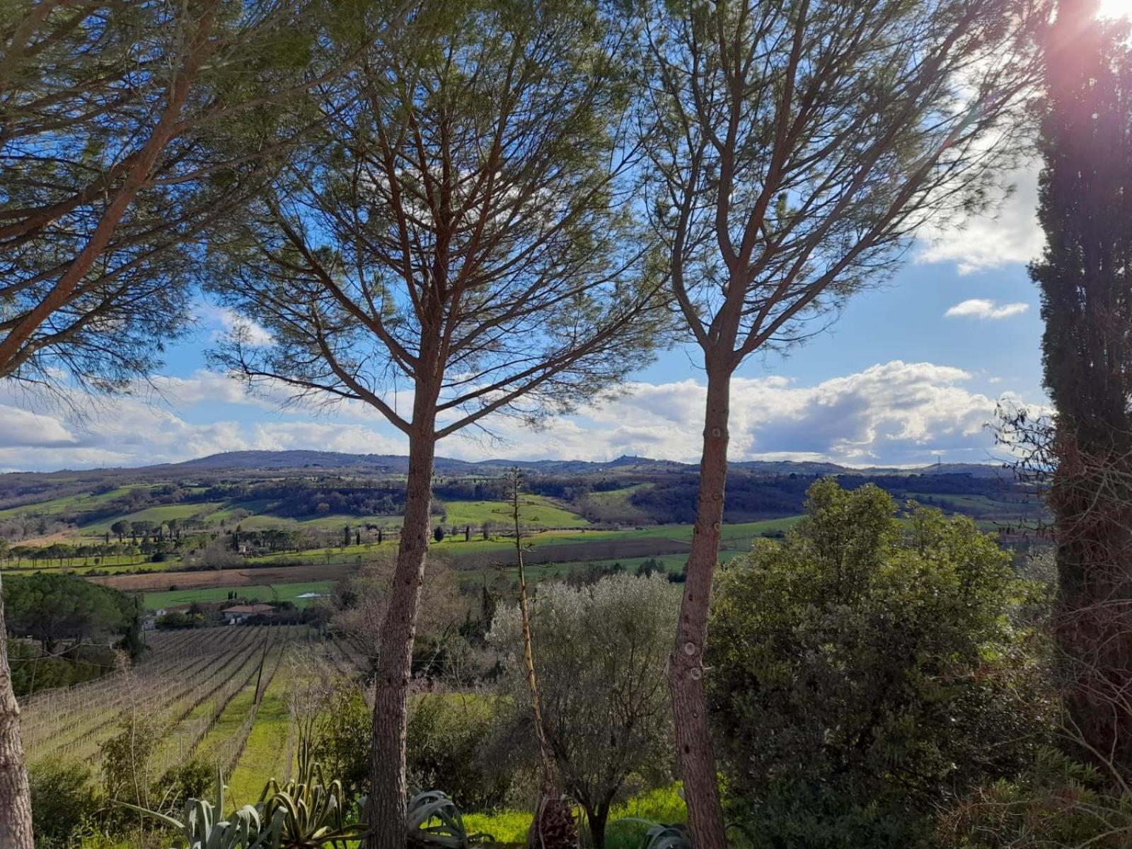 Vacation Home photo 3