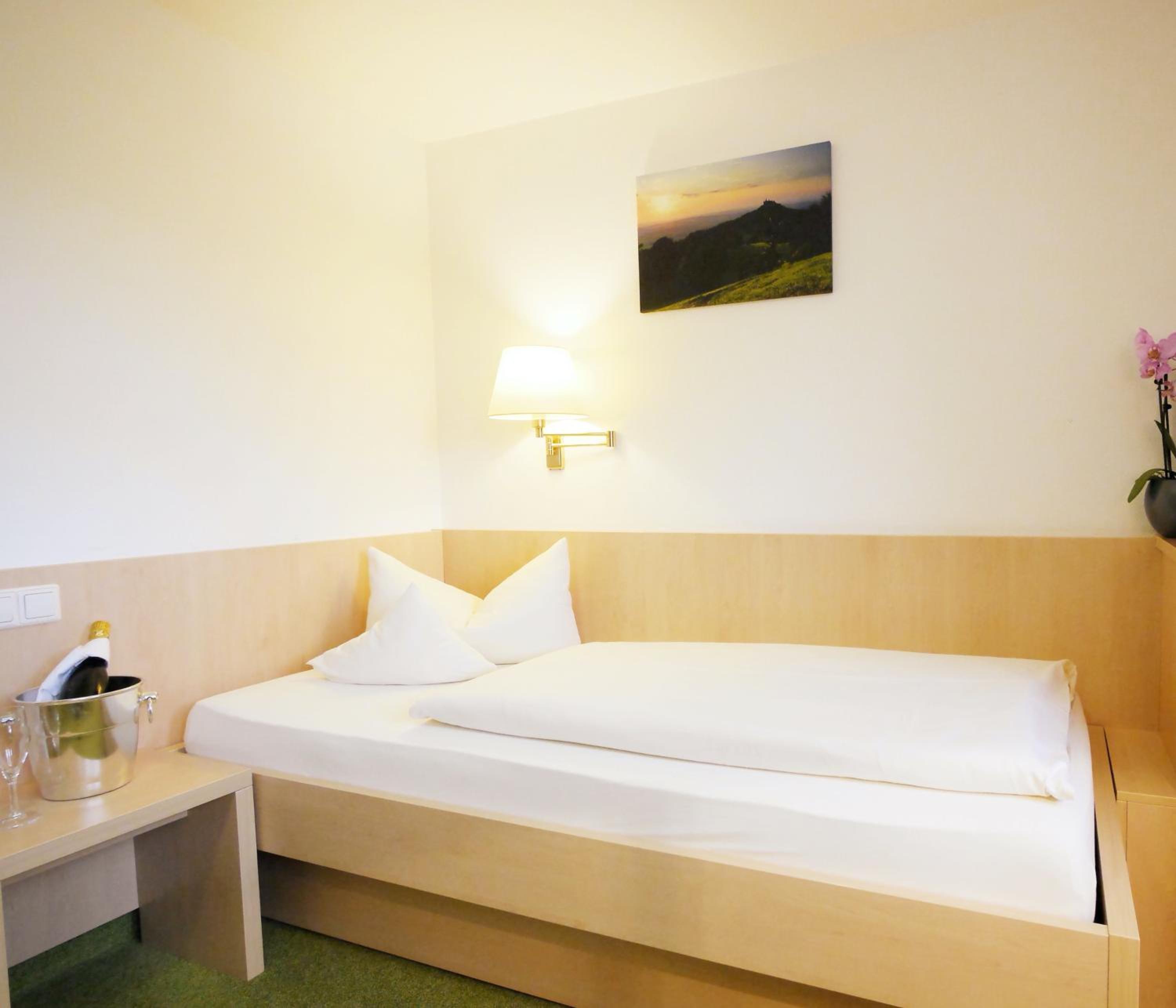 Large Single Room