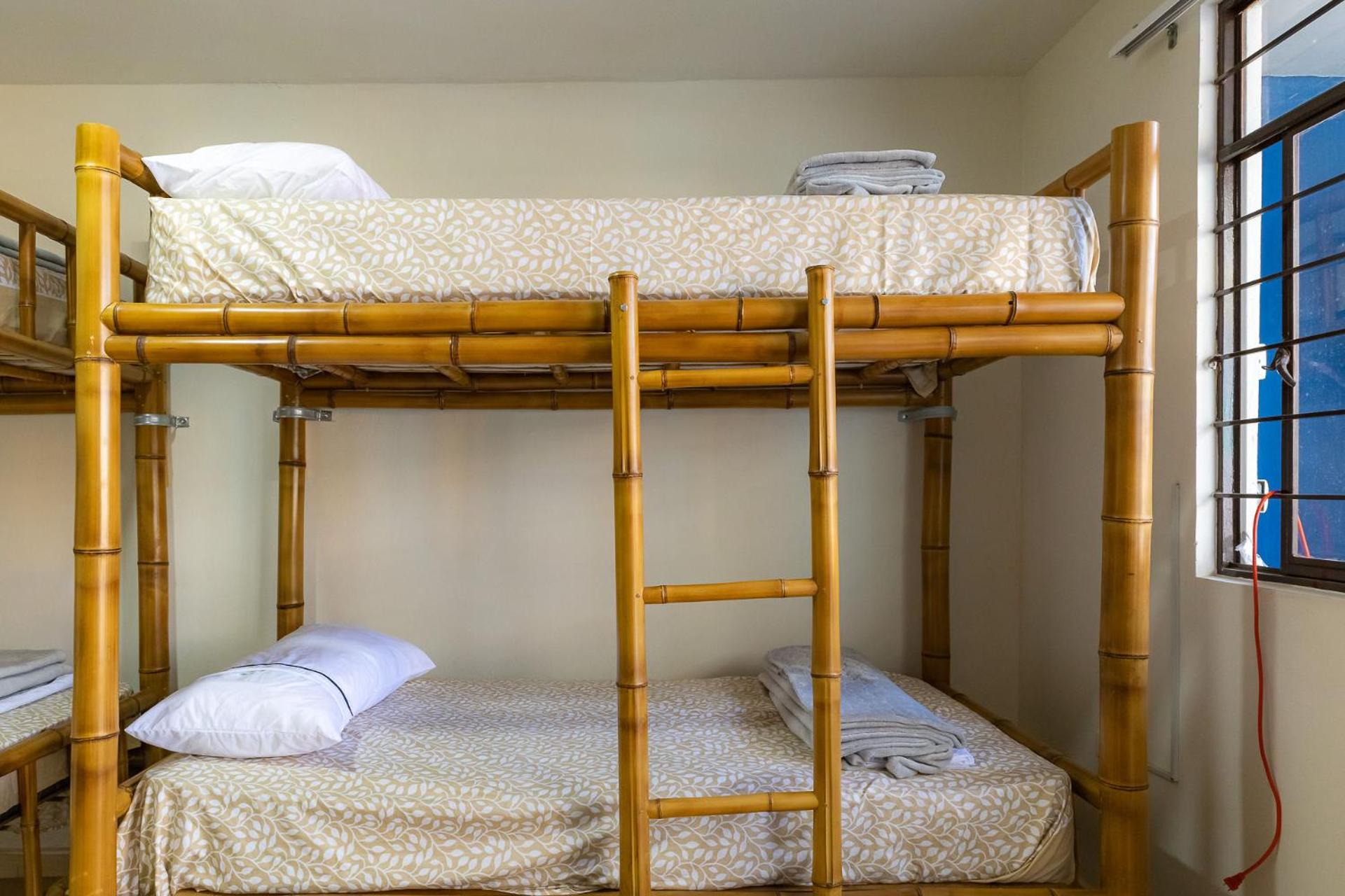 4-Bed Female Dormitory Room photo 1