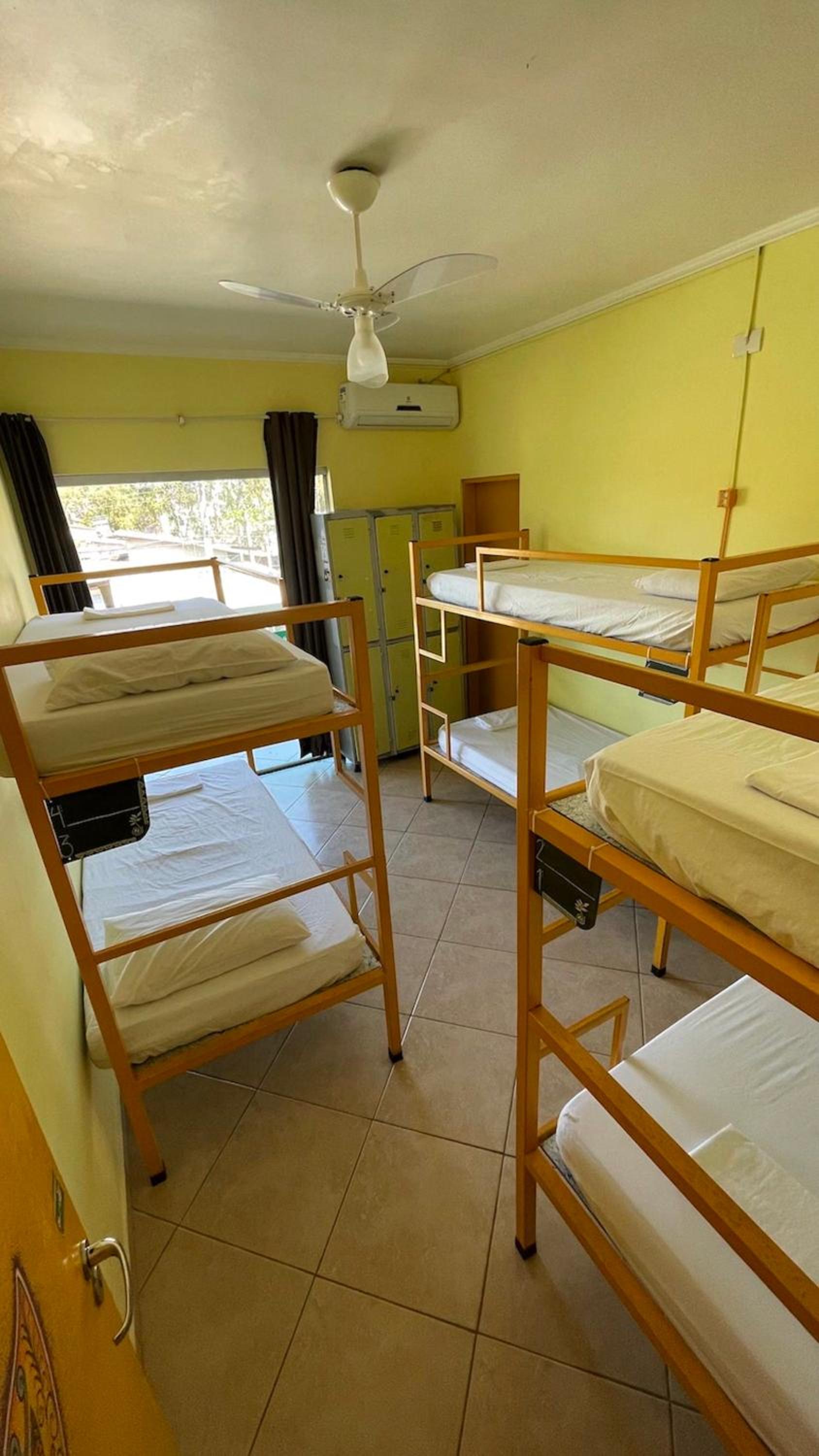 Bed in 6-Female Dormitory Room
