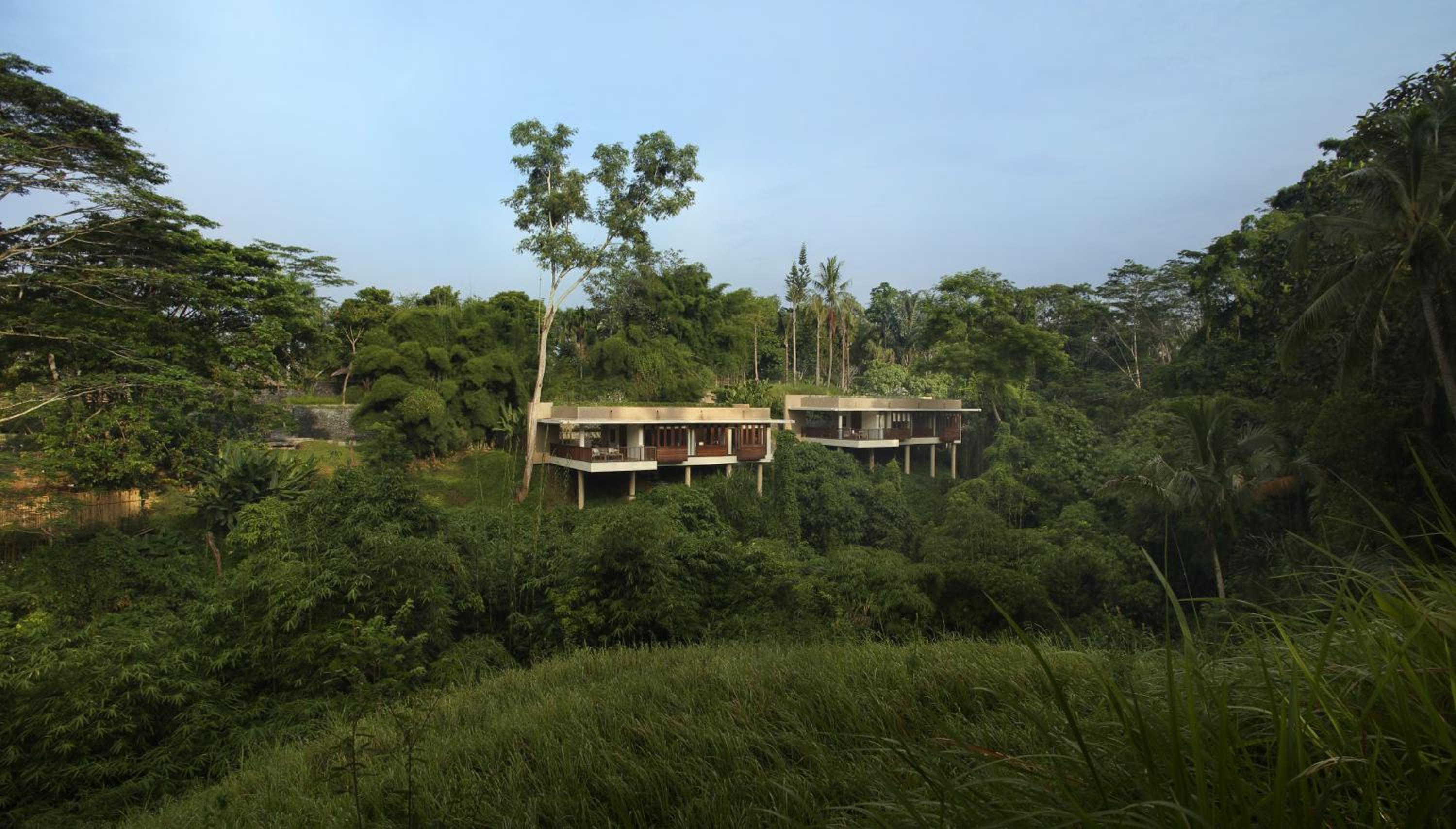 Forest Villa ,Daily Afternoon Tea, Complimentary 60-minute photography session with one photo included, Daily schedule shuttle service to Ubud, Daily wellness activities, Bicycles for personal use around the resort