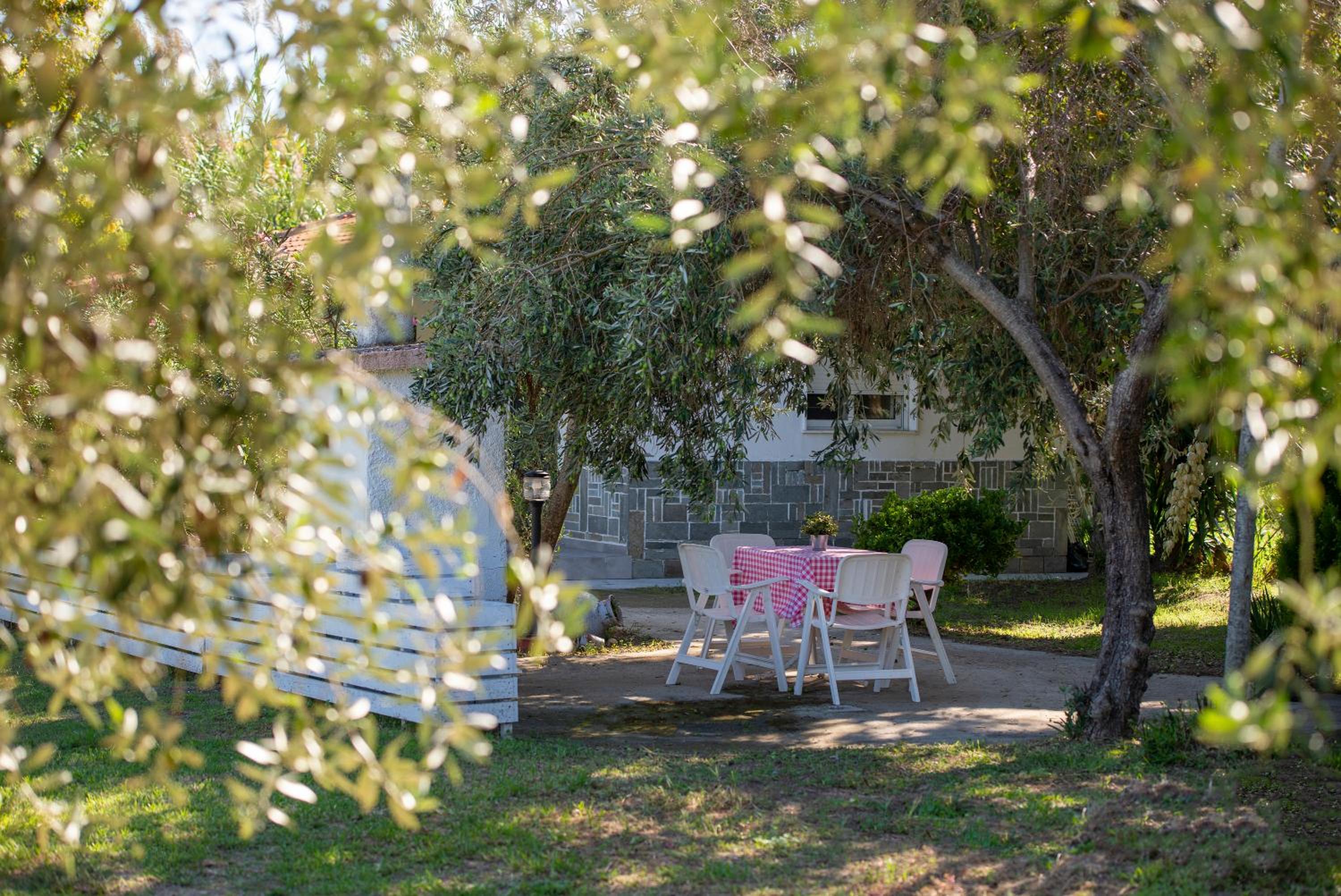 One-Bedroom Bungalow photo 3