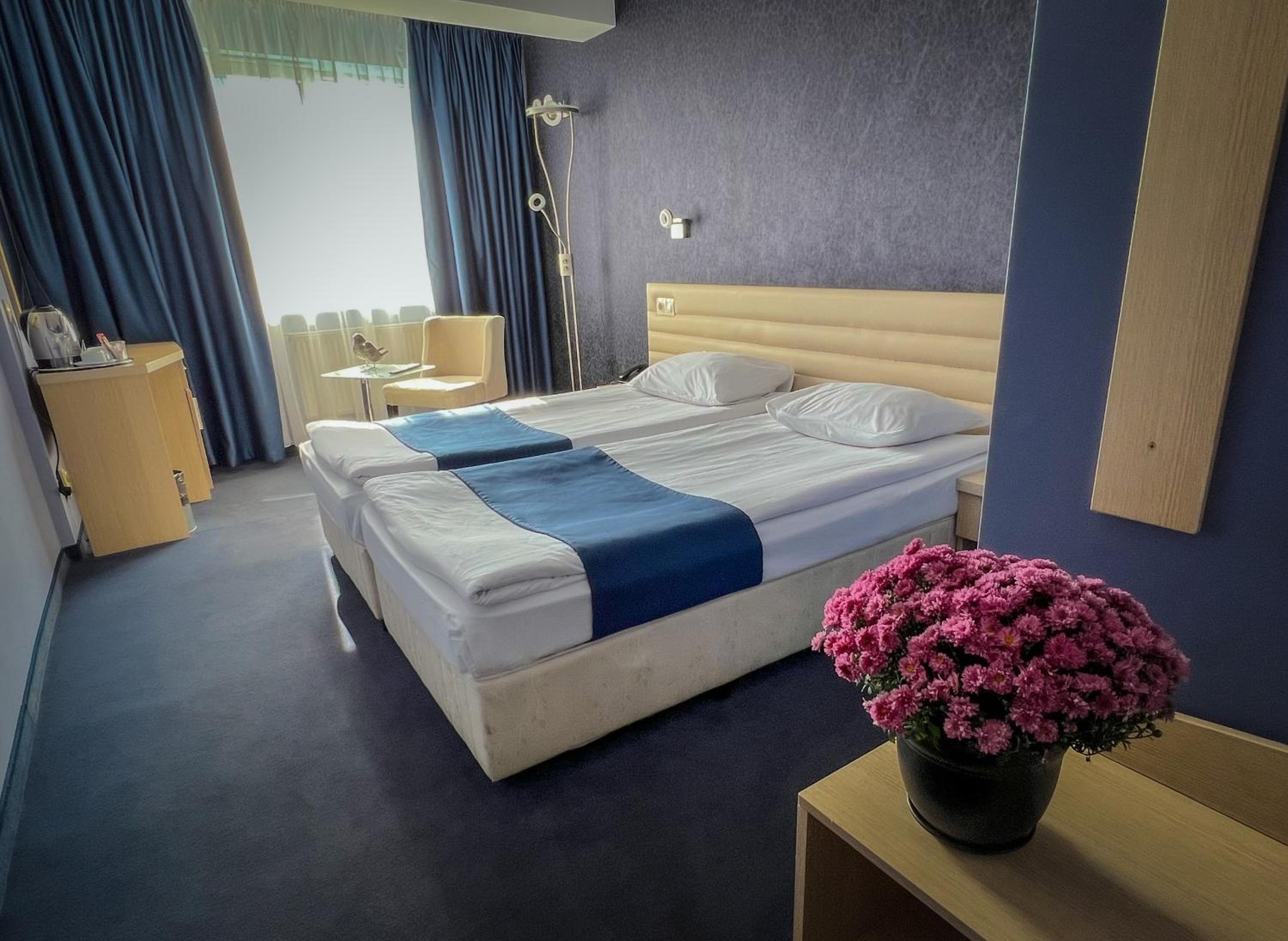 Large Single Room photo 2