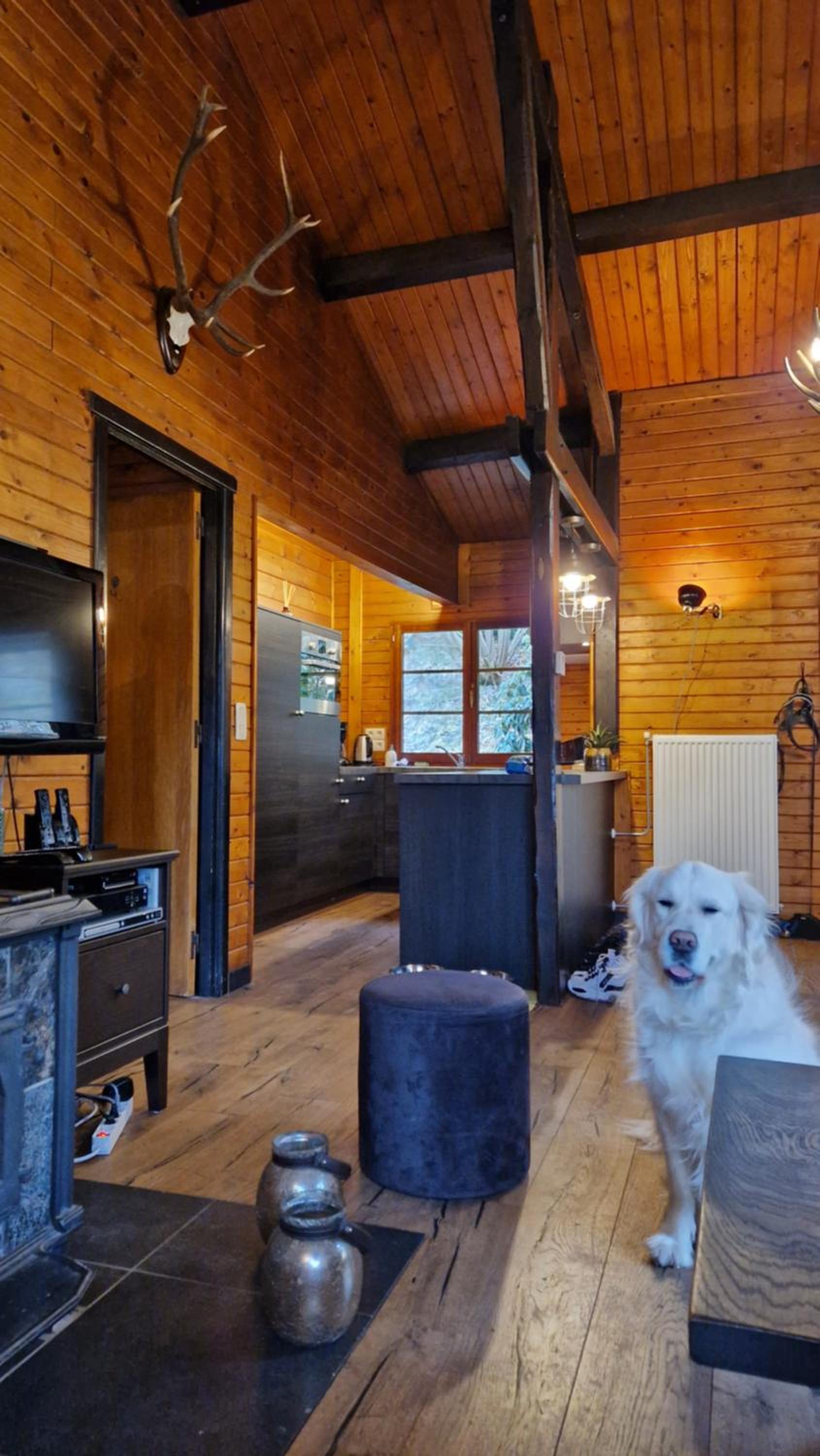 Four-Bedroom House photo 3