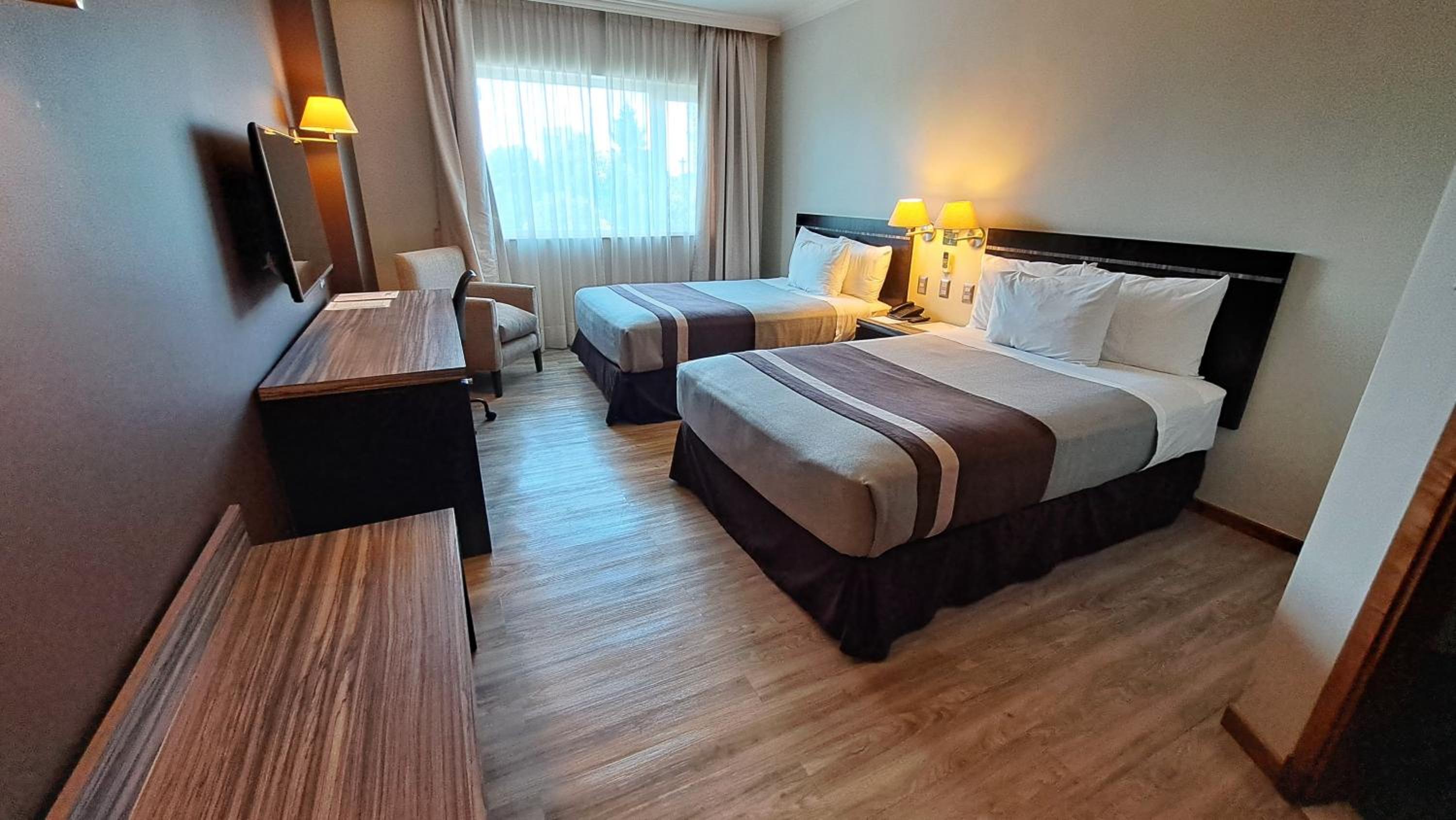 Twin Room photo 1