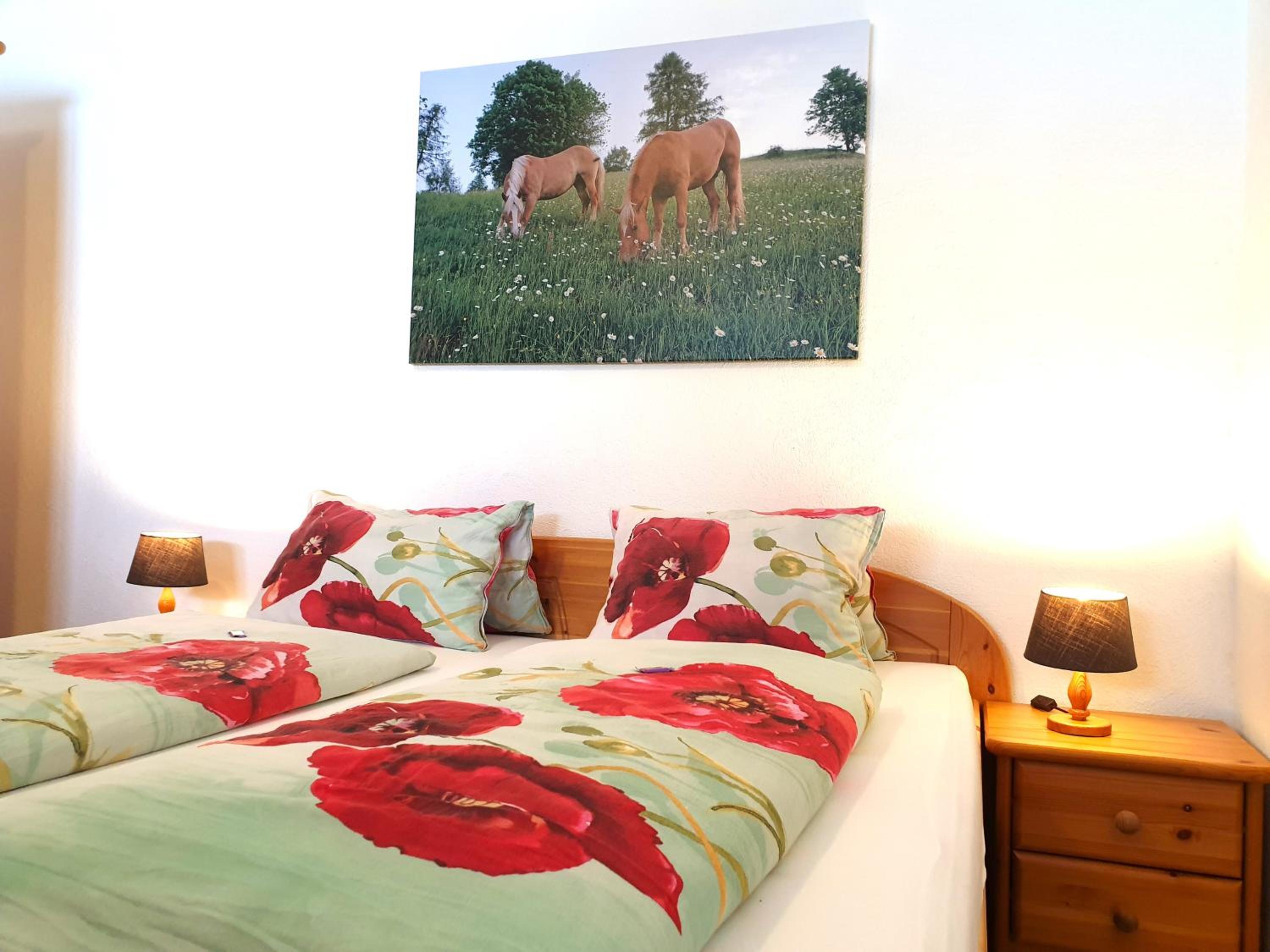 Large One-Bedroom Apartment with Balcony photo 1