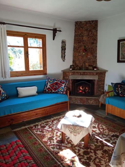 Two-Bedroom House photo 1