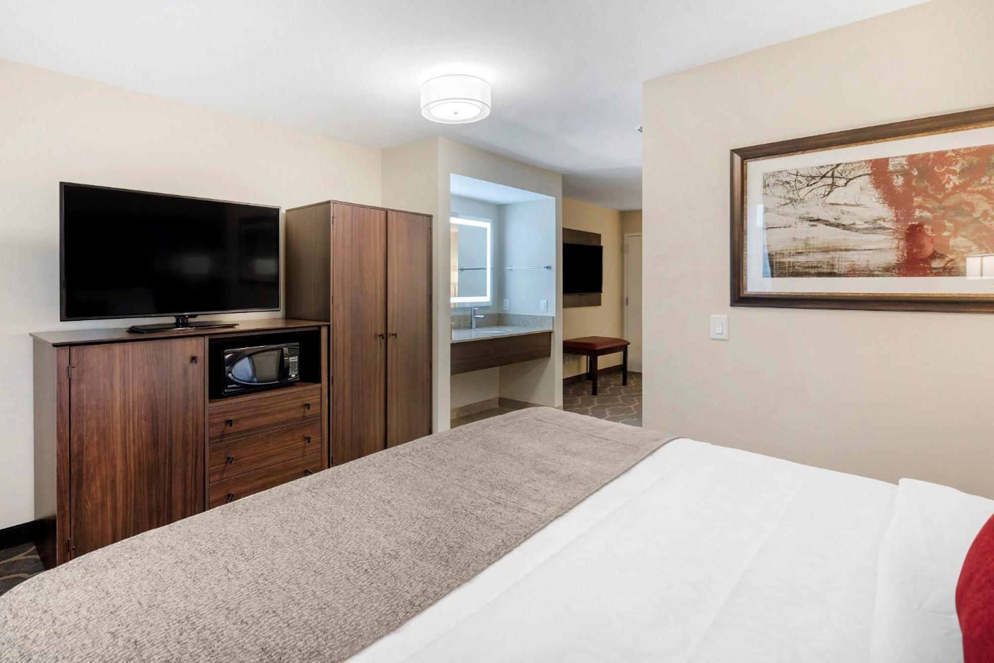 KING BED-STUDIO SUITE-SOFABED-NON SMOKING - Photo 9