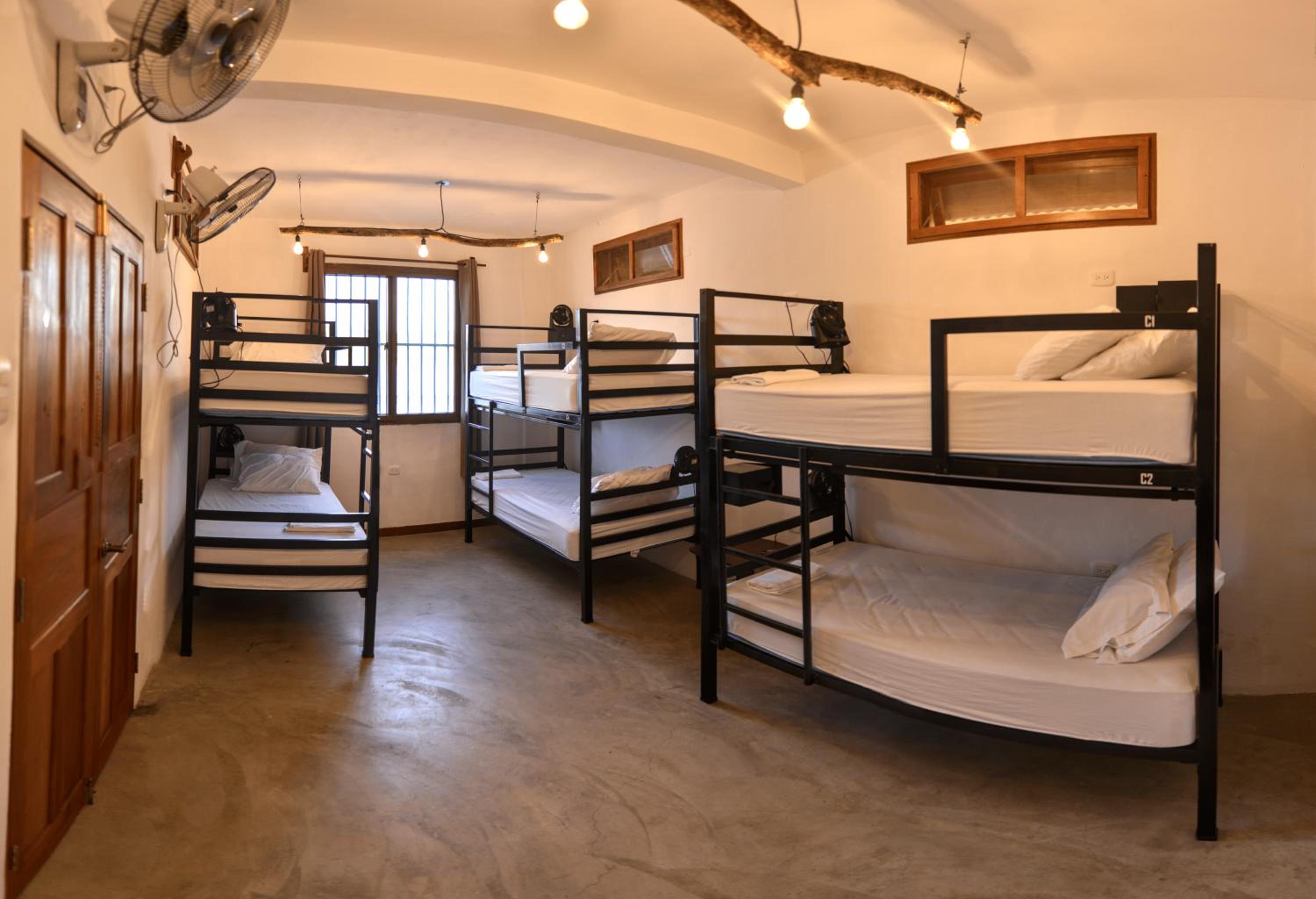 Bed in 6-Bed Mixed Dormitory Room photo 1