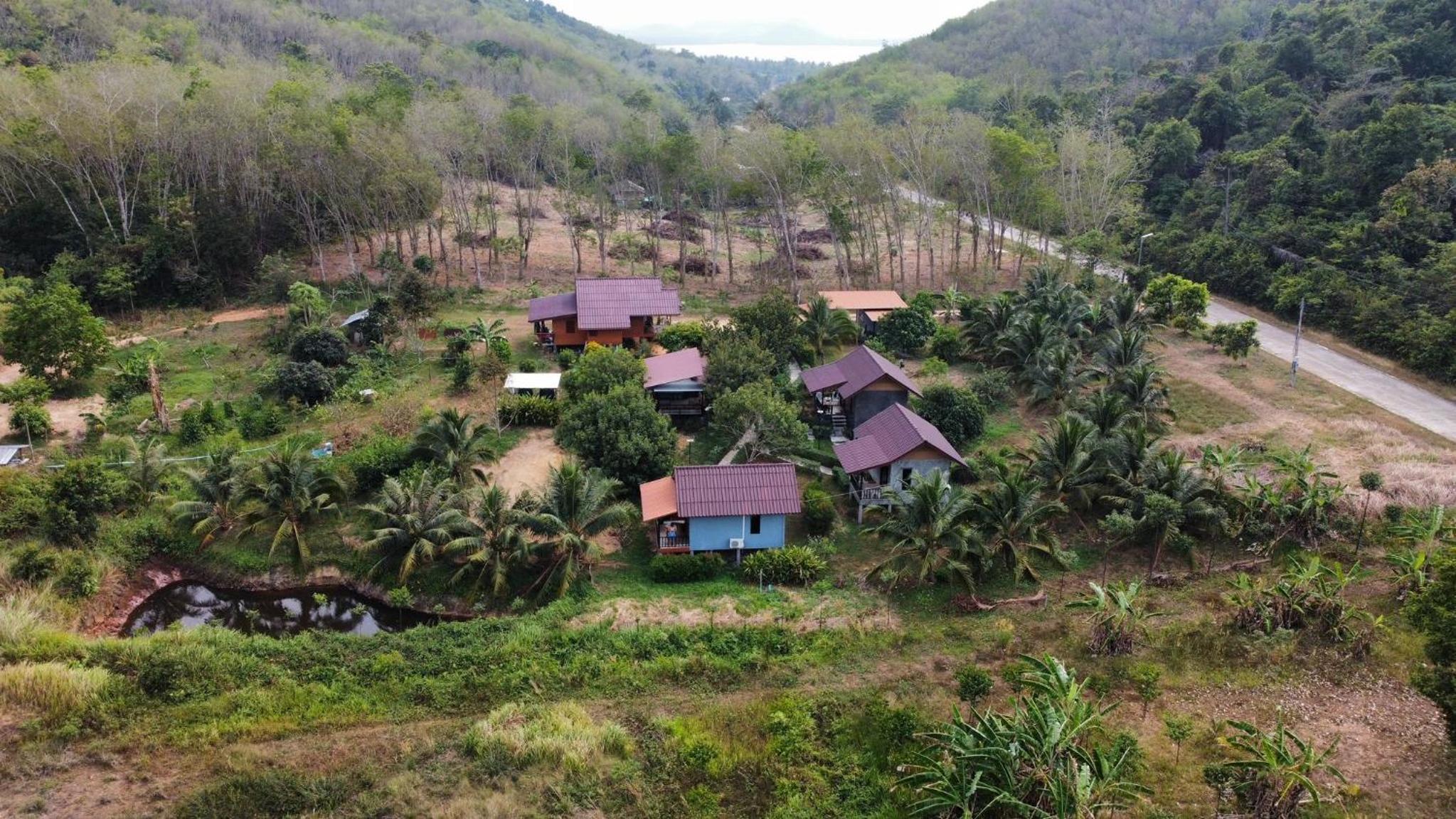 Deluxe Bungalow with Garden View - Photo 14