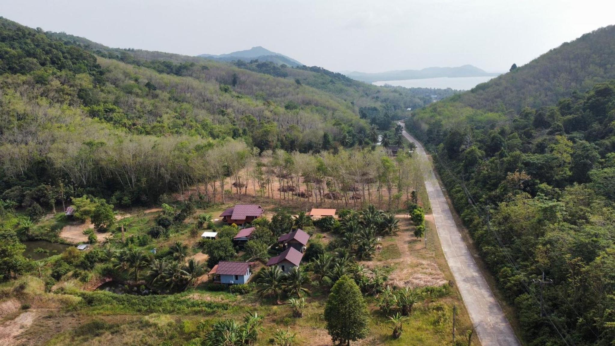 Deluxe Bungalow with Garden View - Photo 13