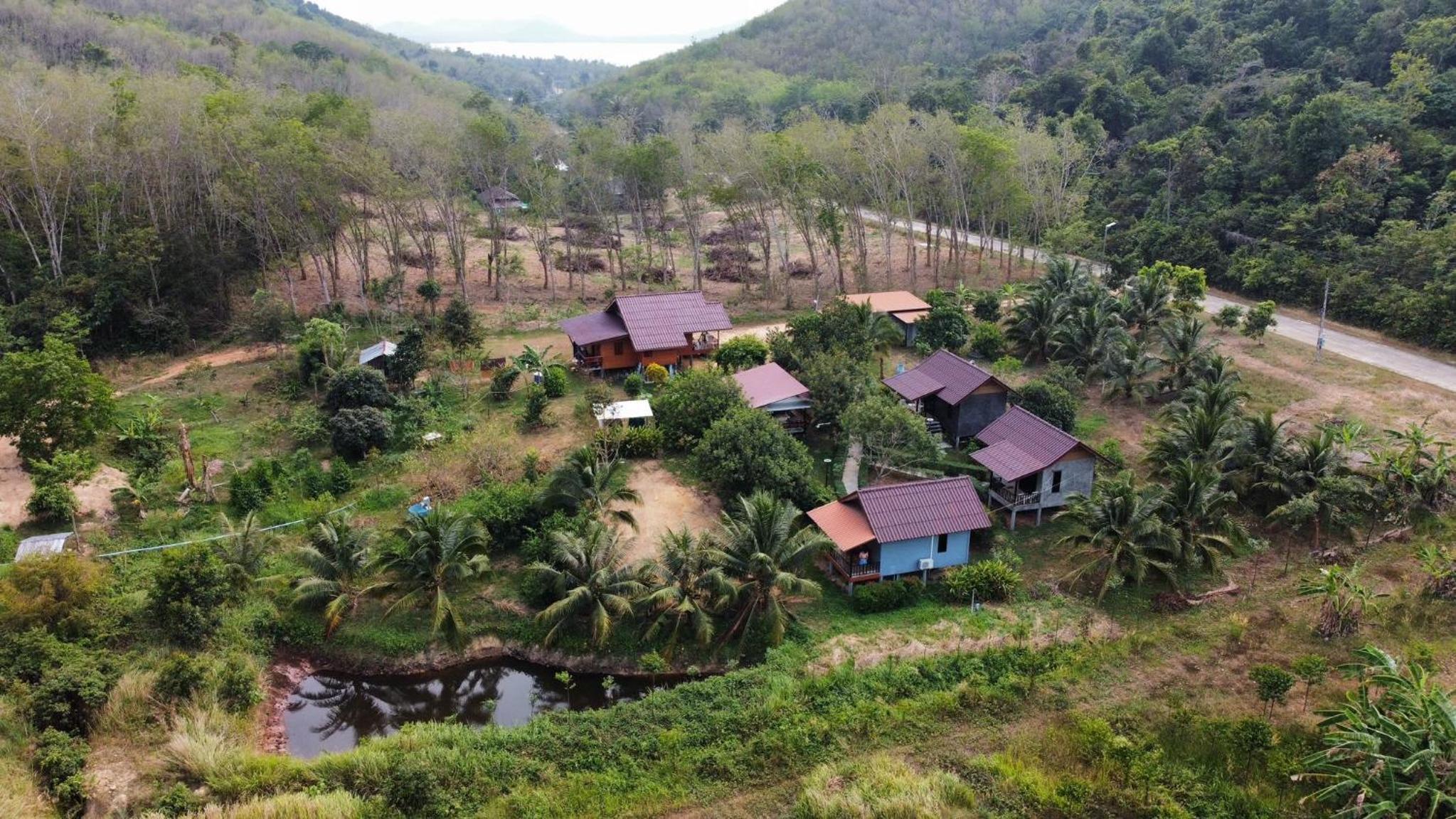 Deluxe Bungalow with Garden View - Photo 5