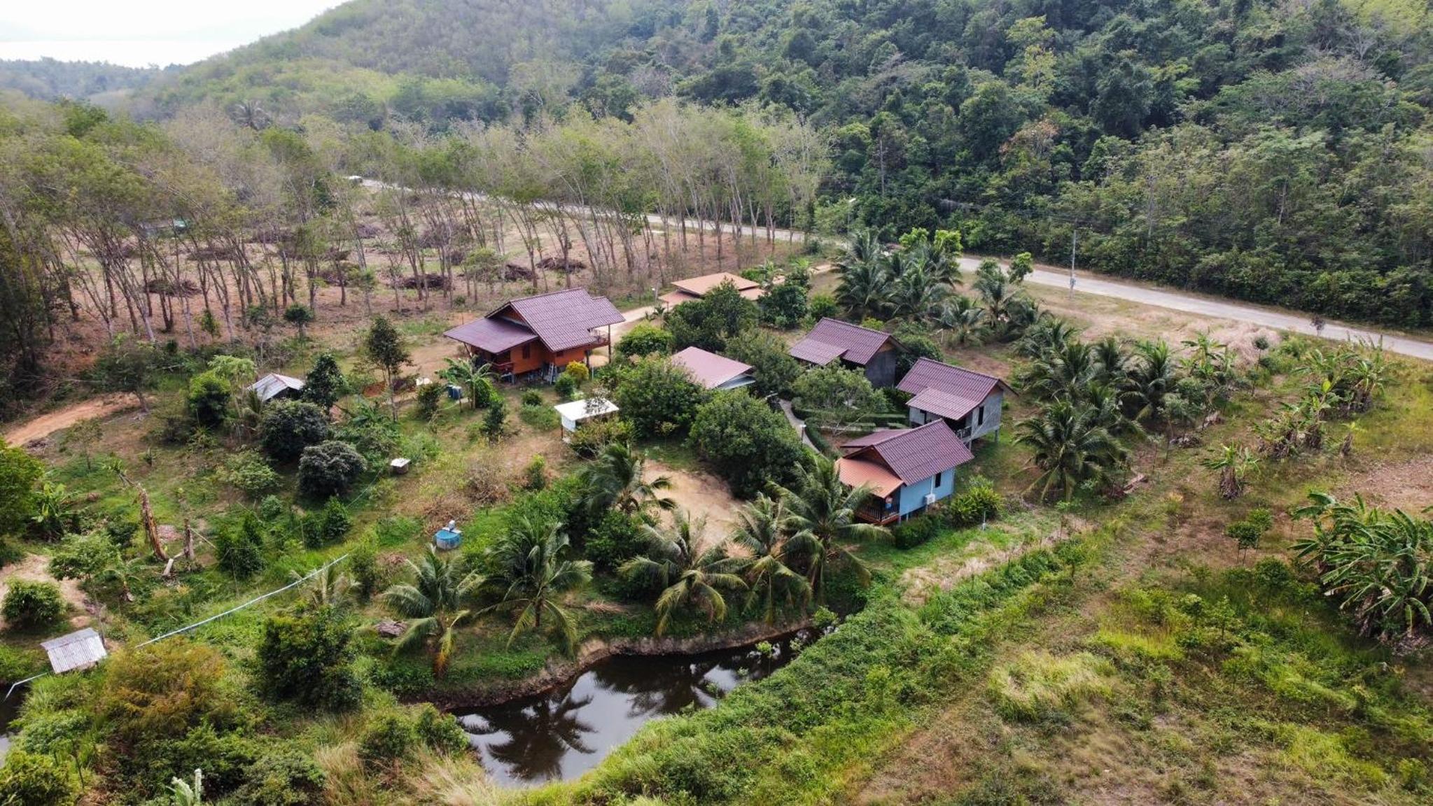 Deluxe Bungalow with Garden View - Photo 12