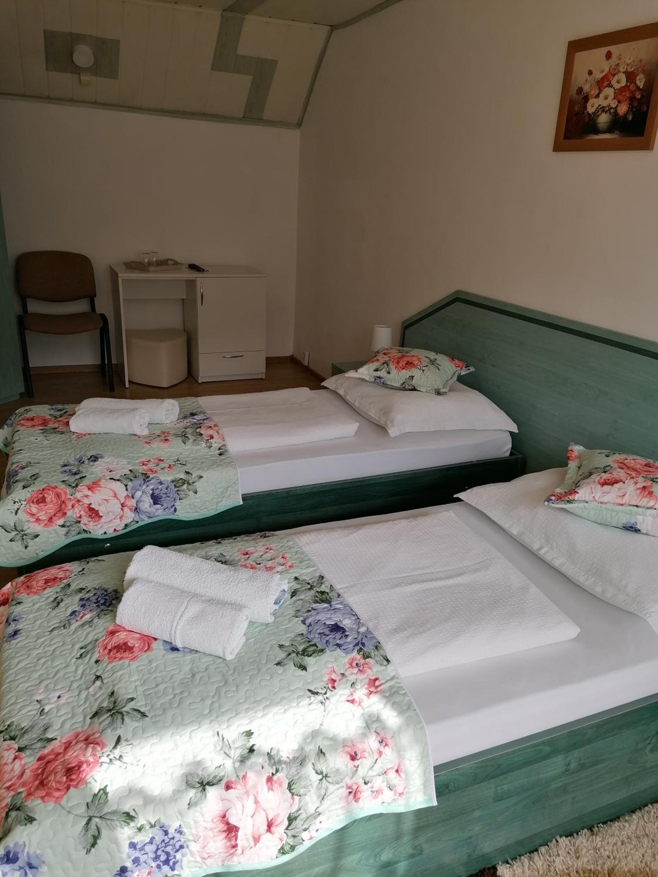 Double Room photo 2