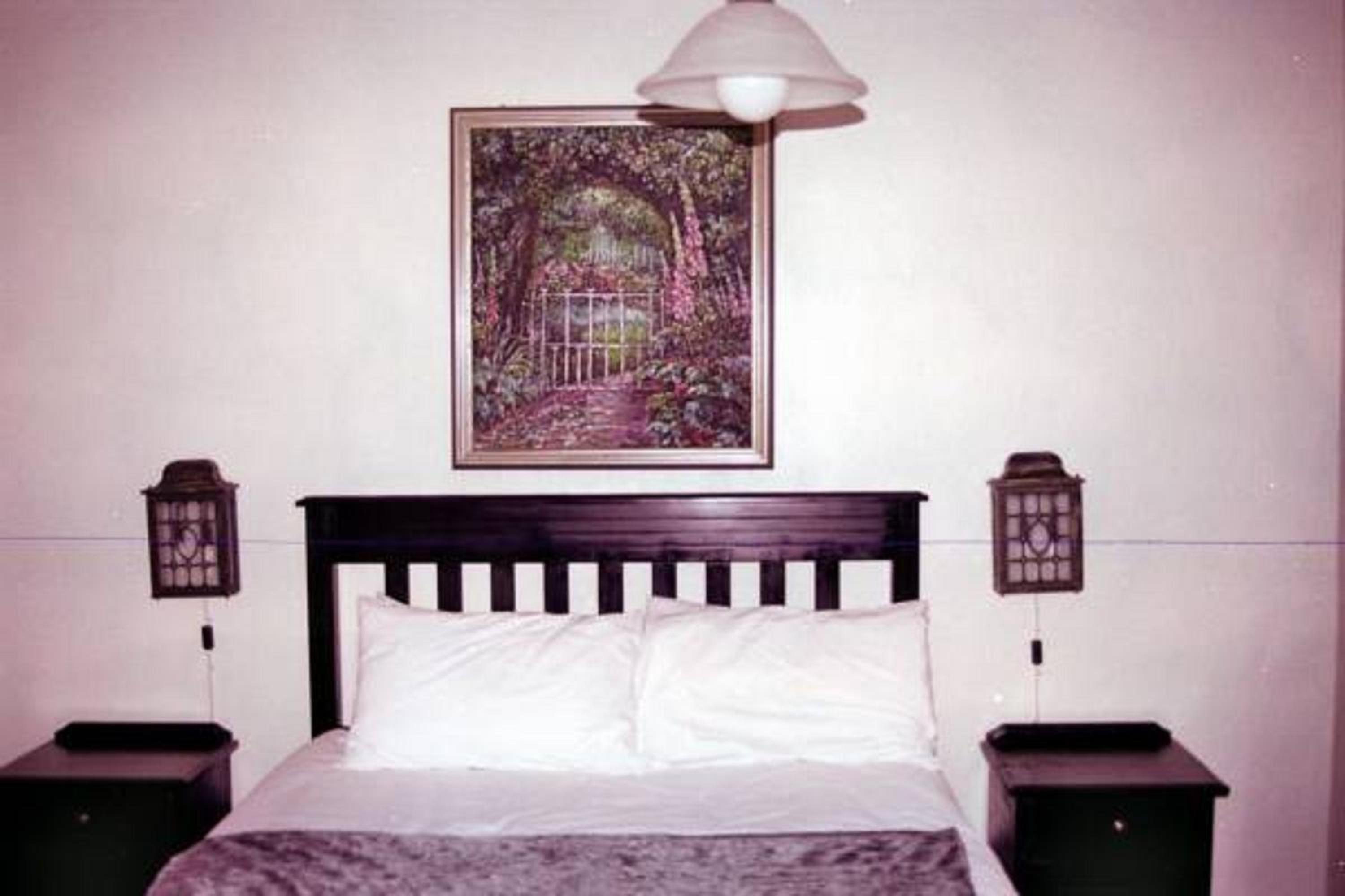 Deluxe Double or Twin Room with Mountain View photo 3