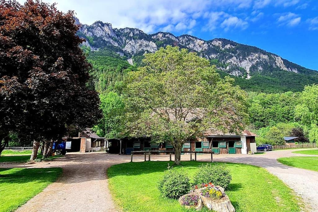 Apartment with Mountain View photo 3