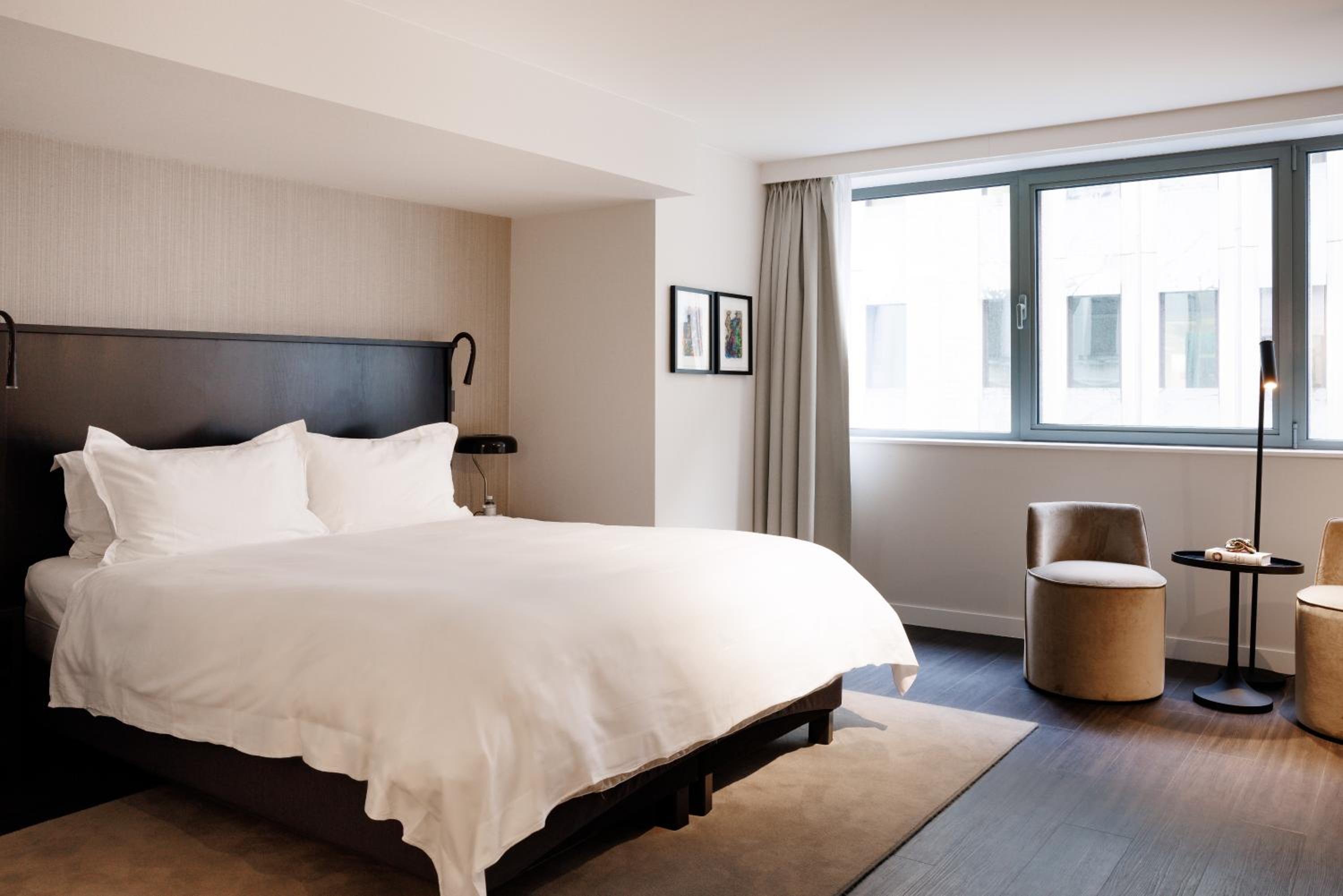 Suite - Photo 1