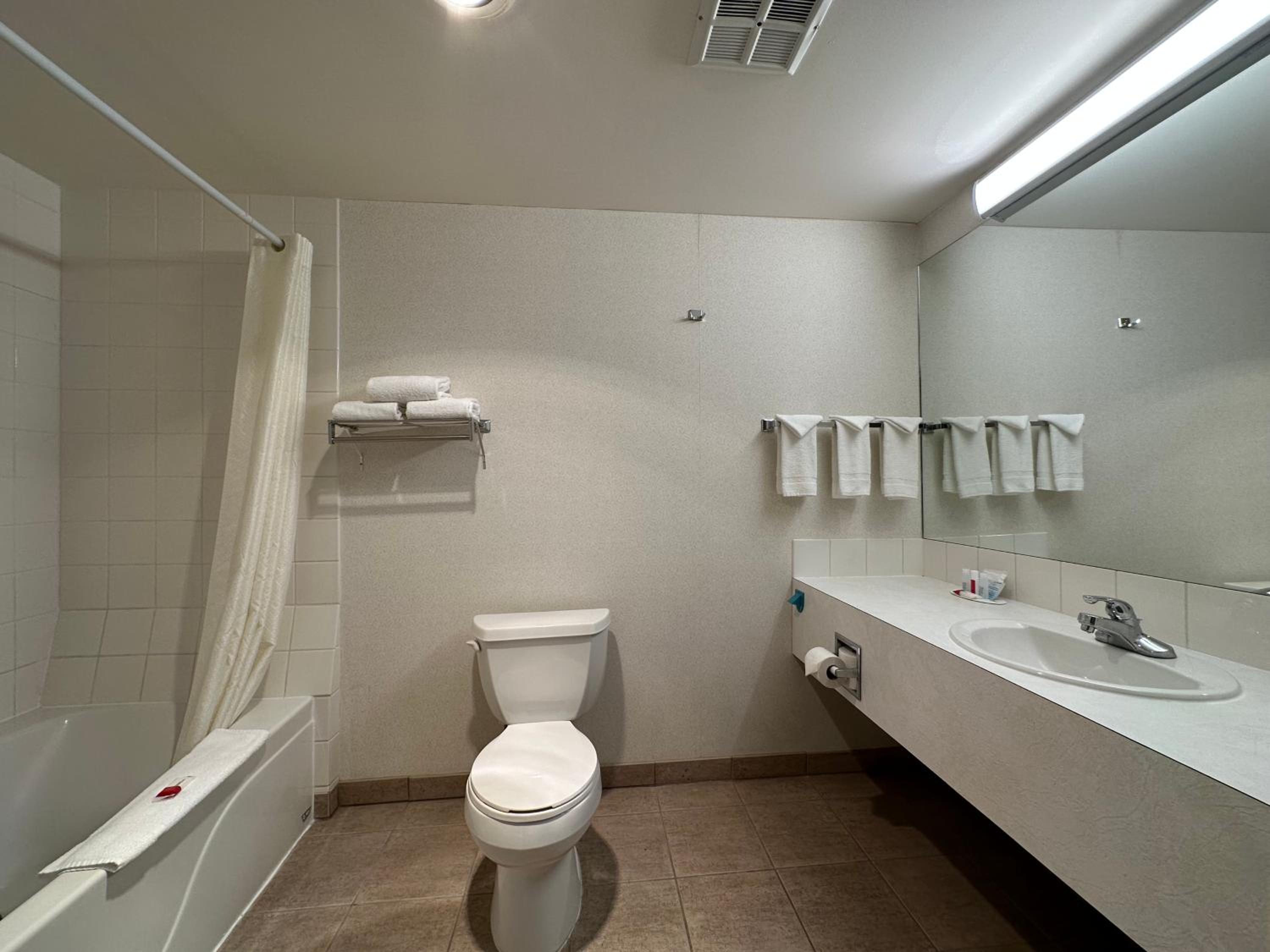 One Bedroom Suite with 1 King Bed Non-Smoking - Photo 14