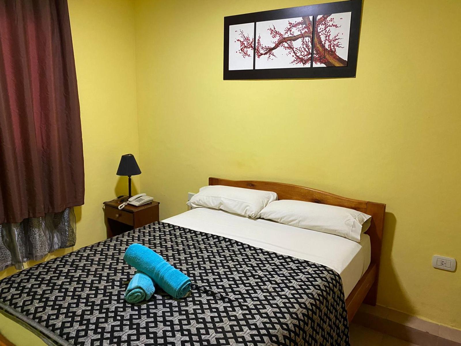 Double or Twin Room photo 1