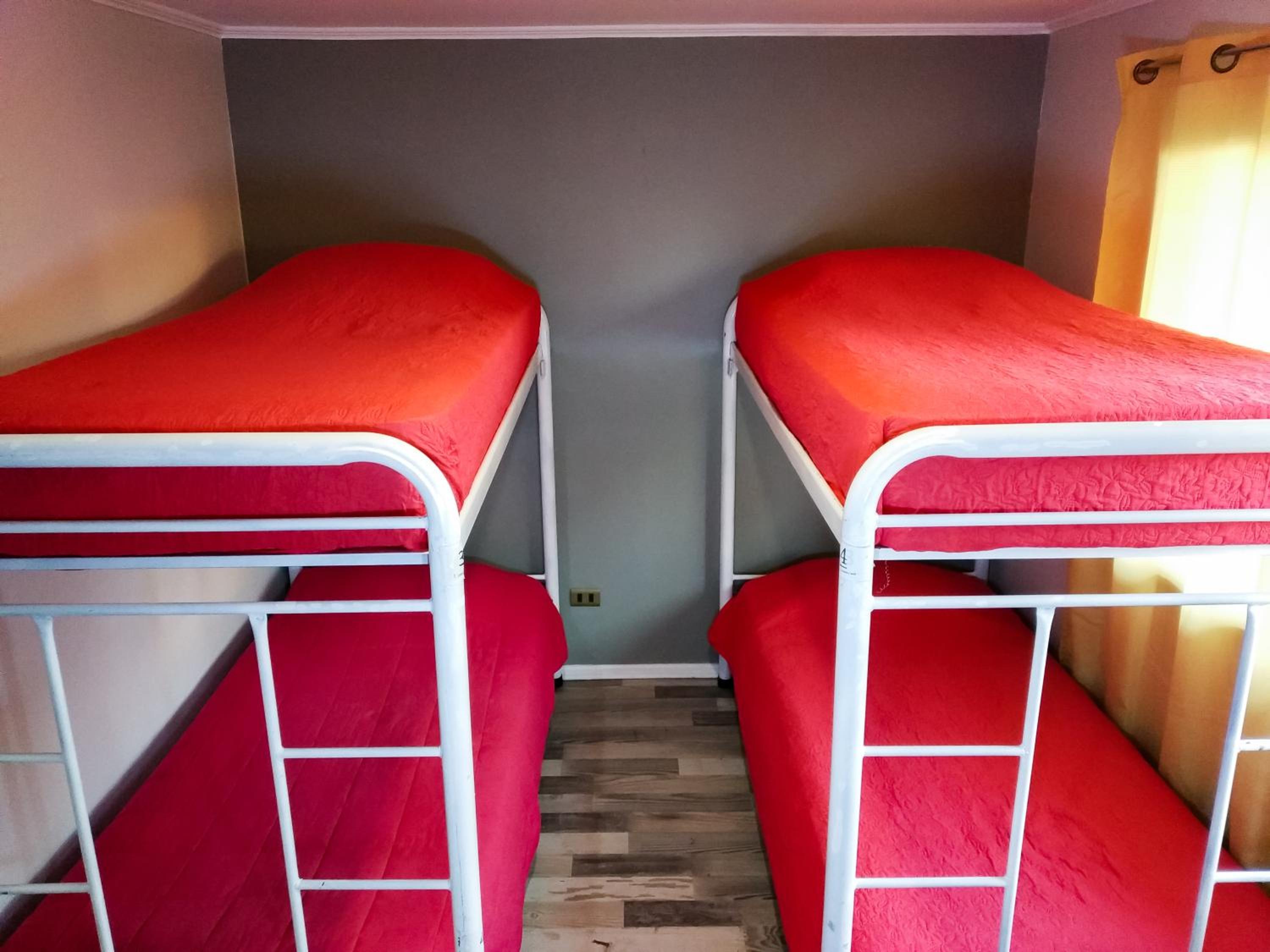 Bed in 8-Bed Mixed Dormitory Room photo 1