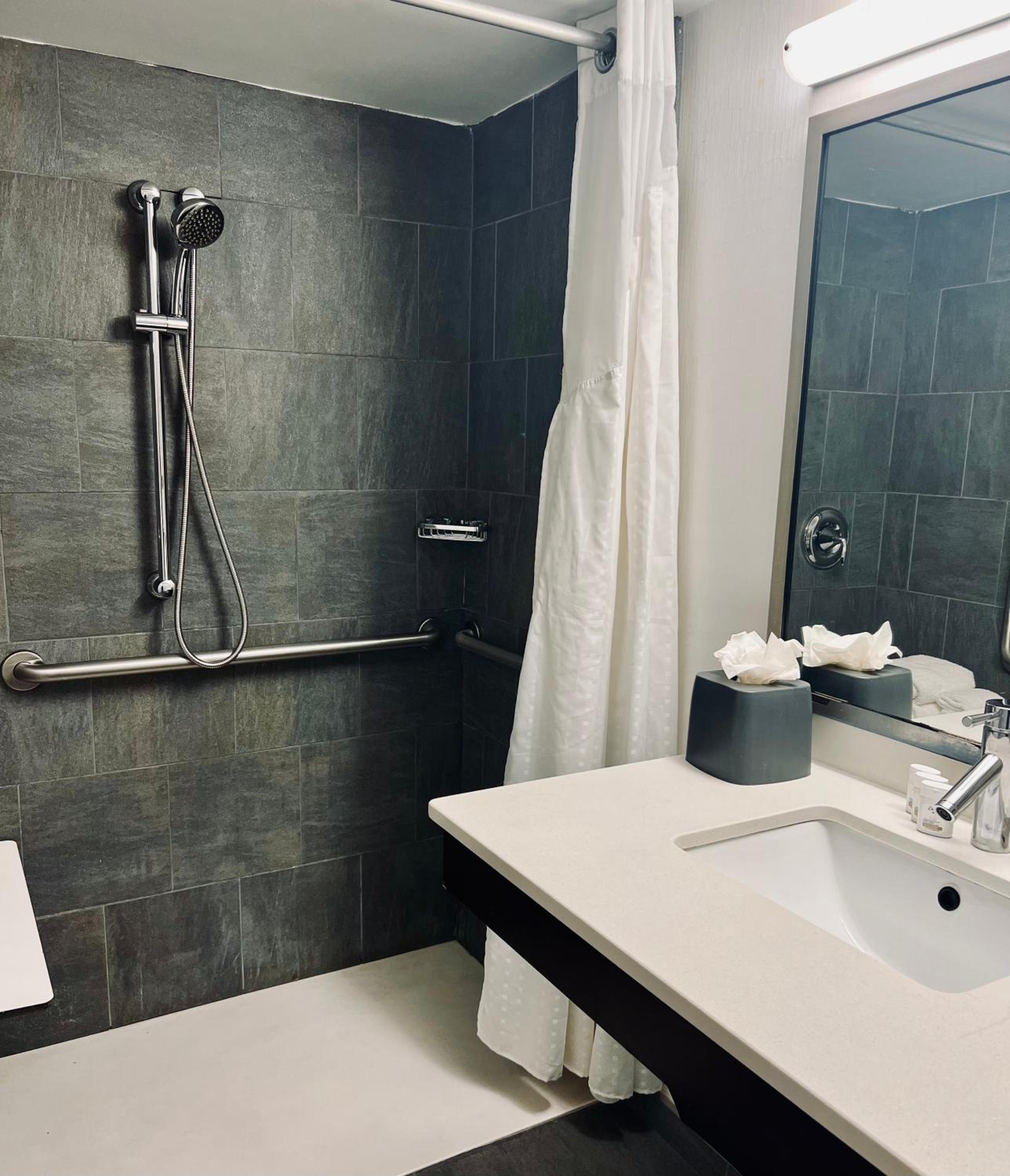 King Room - Mobility Access/Hearing Accessible - Photo 4