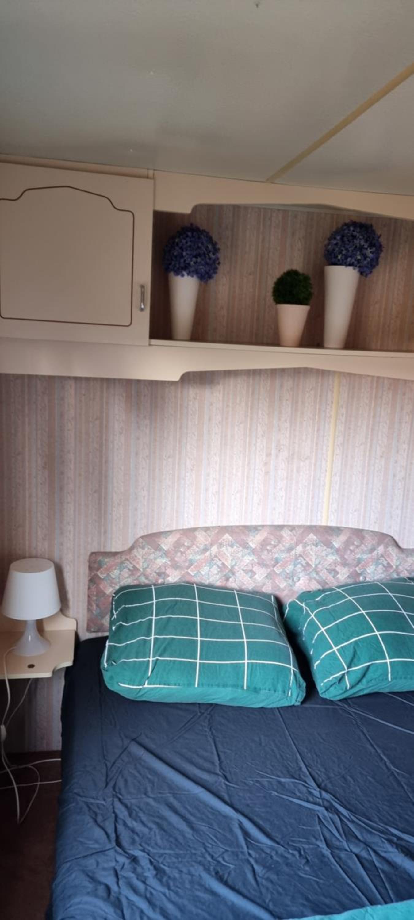 Mobile Home photo 1