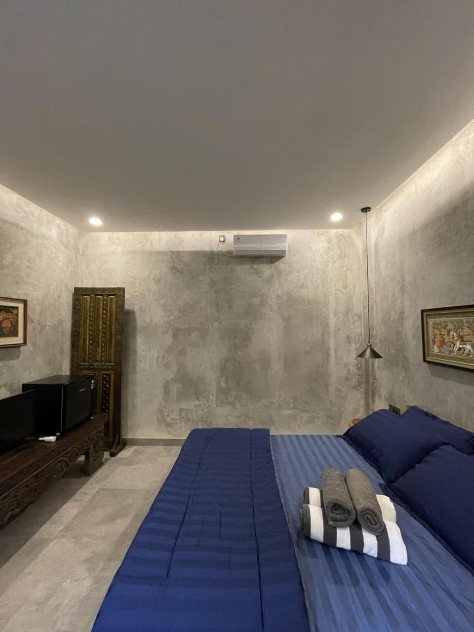 Deluxe Villa photo 2