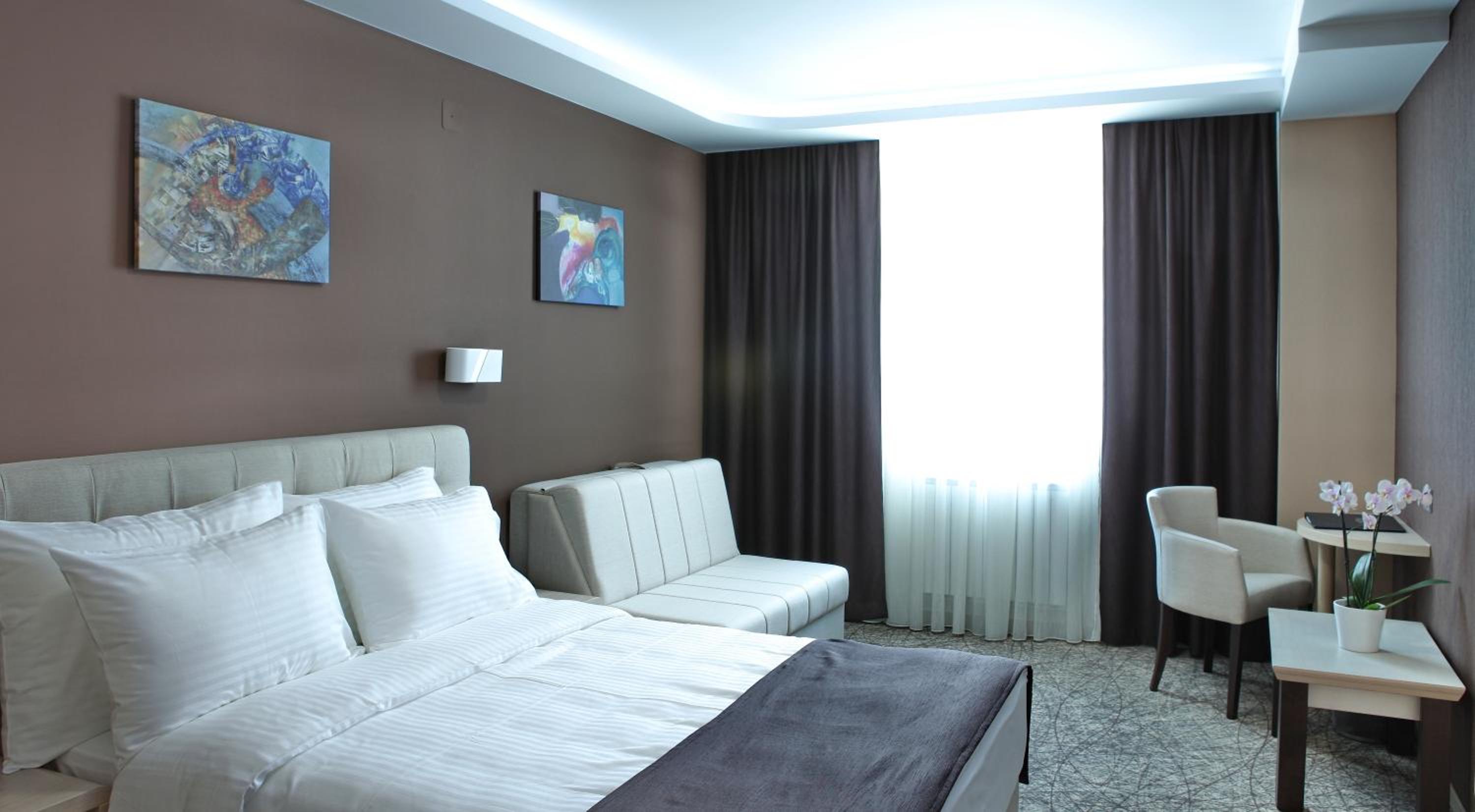 Deluxe Single Room photo 2