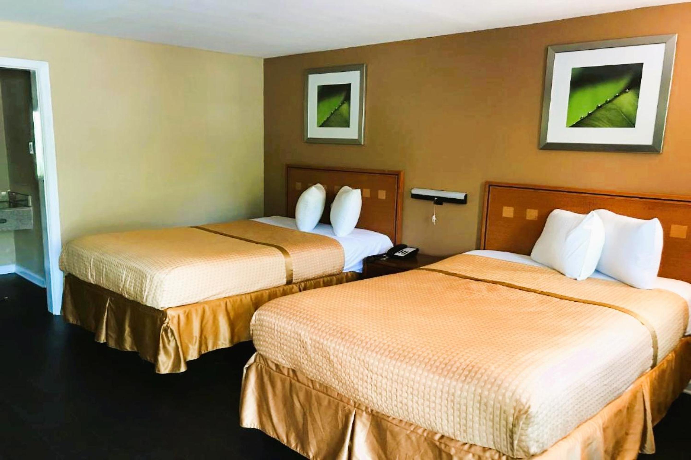 Deluxe Double Room with Two Double Beds photo 2
